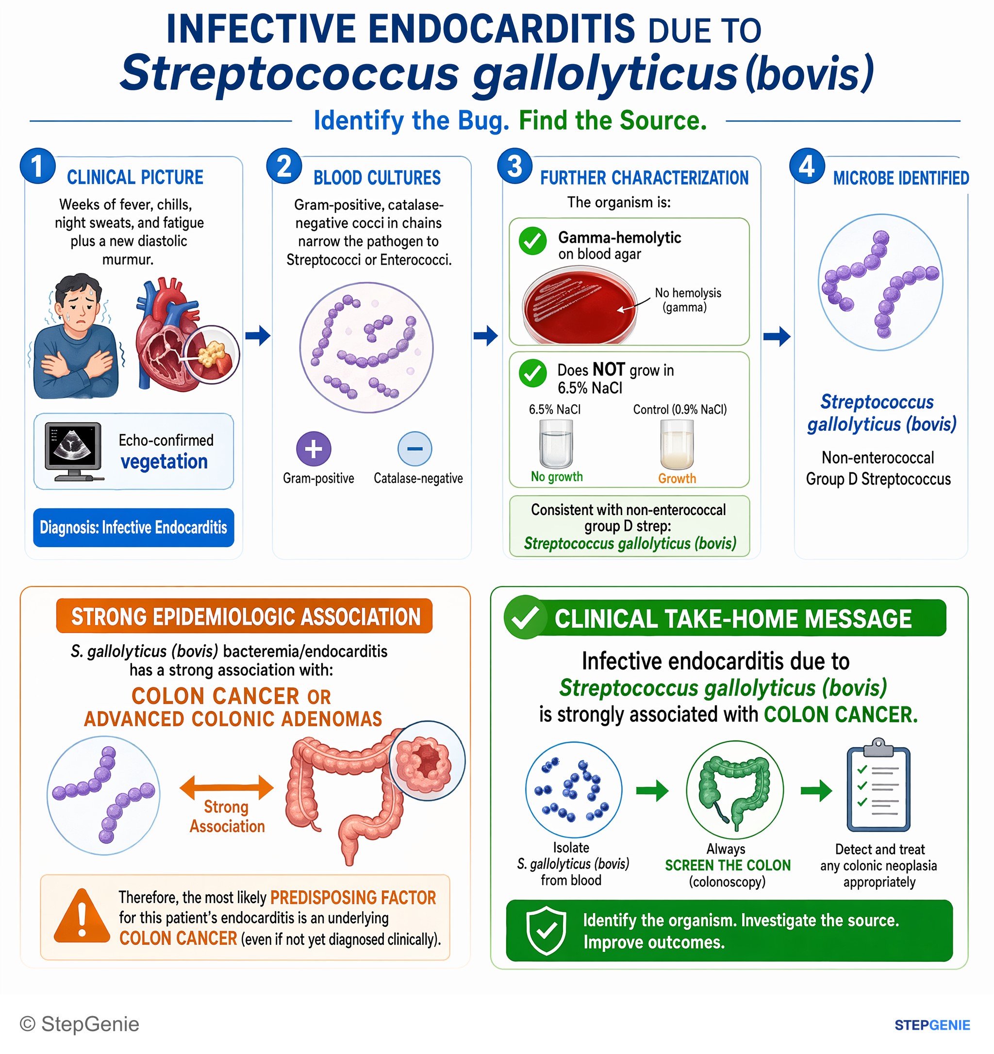 Infections / infection-related conditions — StepGenie USMLE Step 1 explanation infographic
