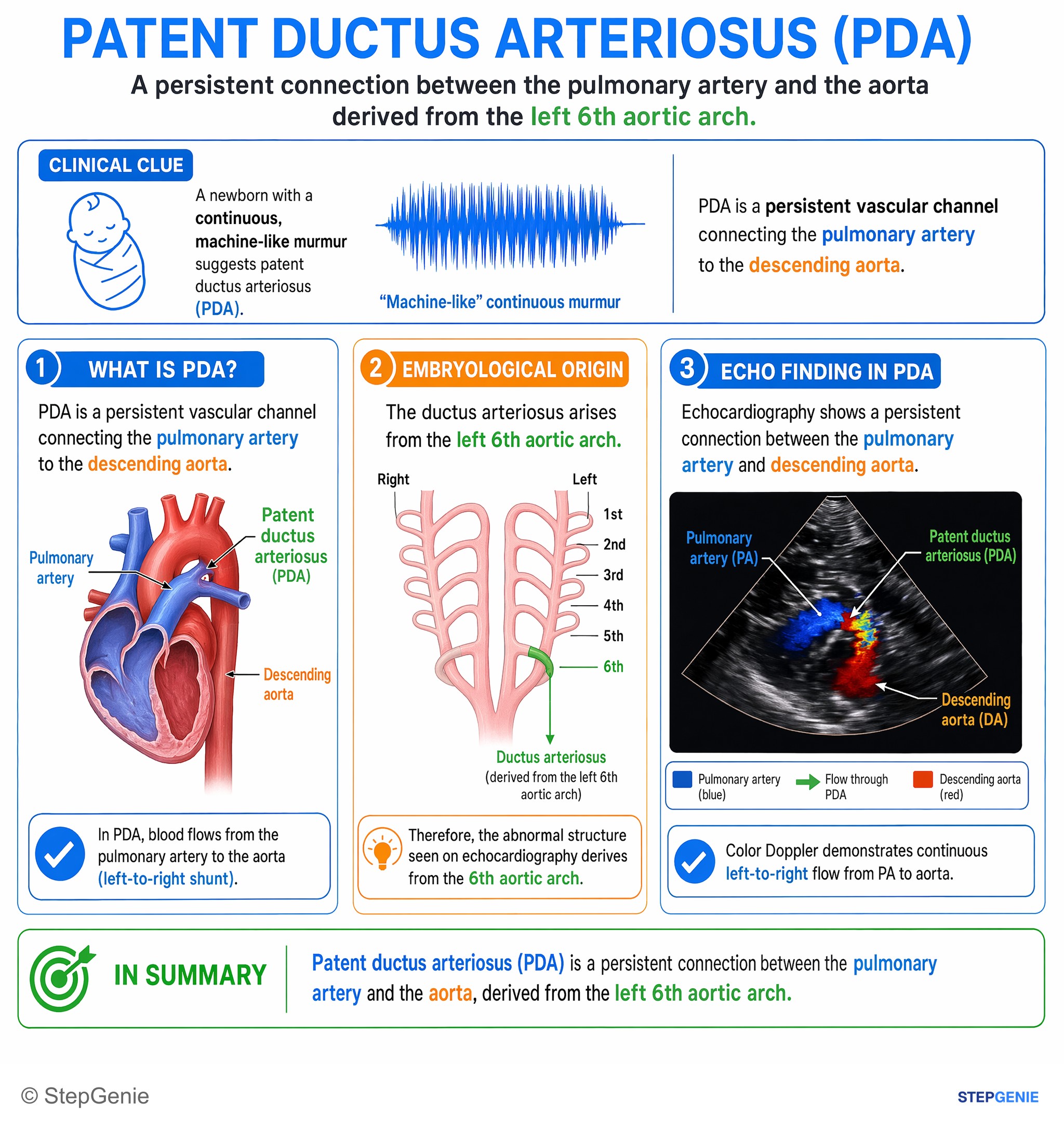 Congenital heart disease — StepGenie USMLE Step 1 explanation infographic