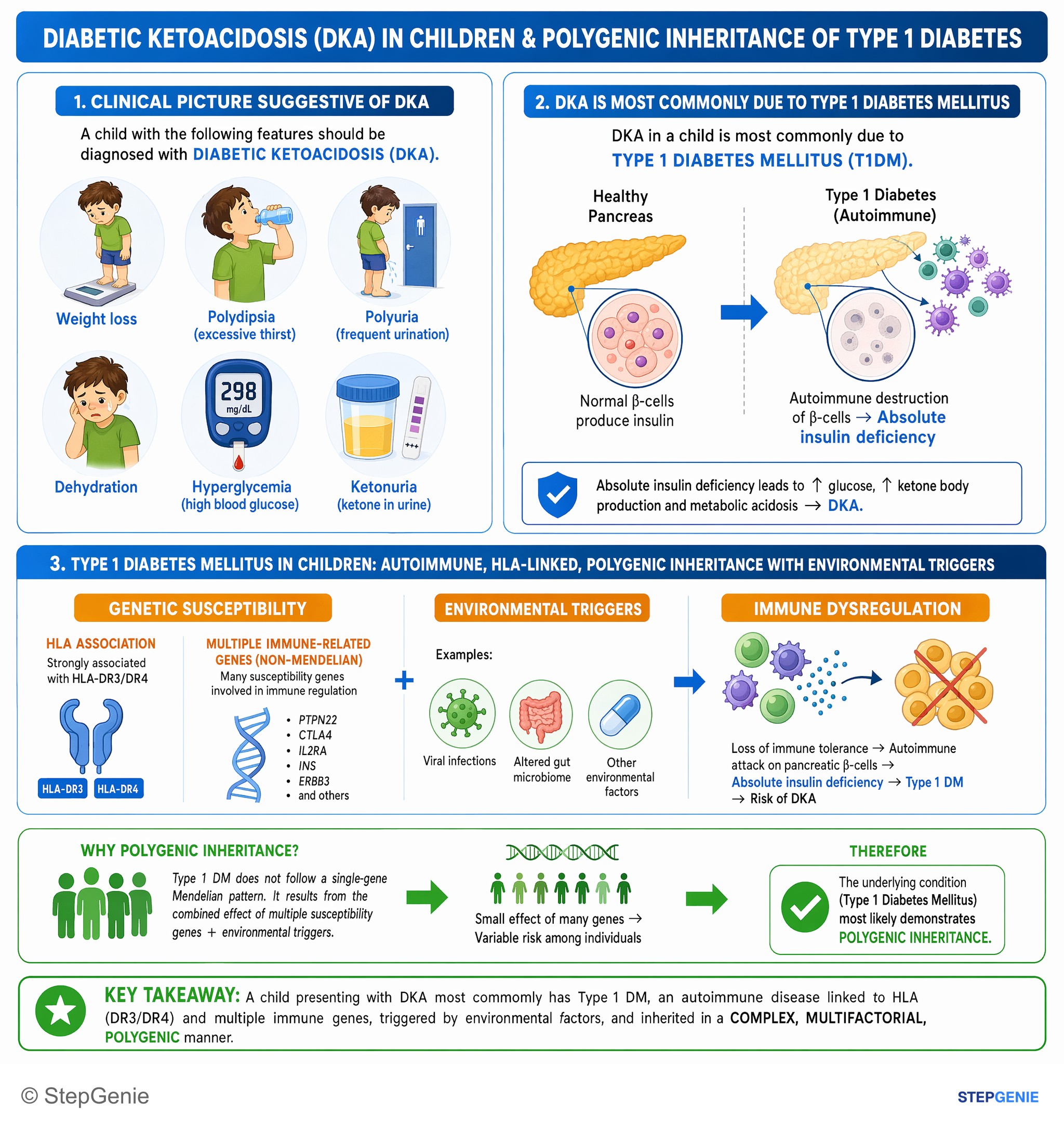 Diabetes mellitus — StepGenie USMLE Step 1 explanation infographic