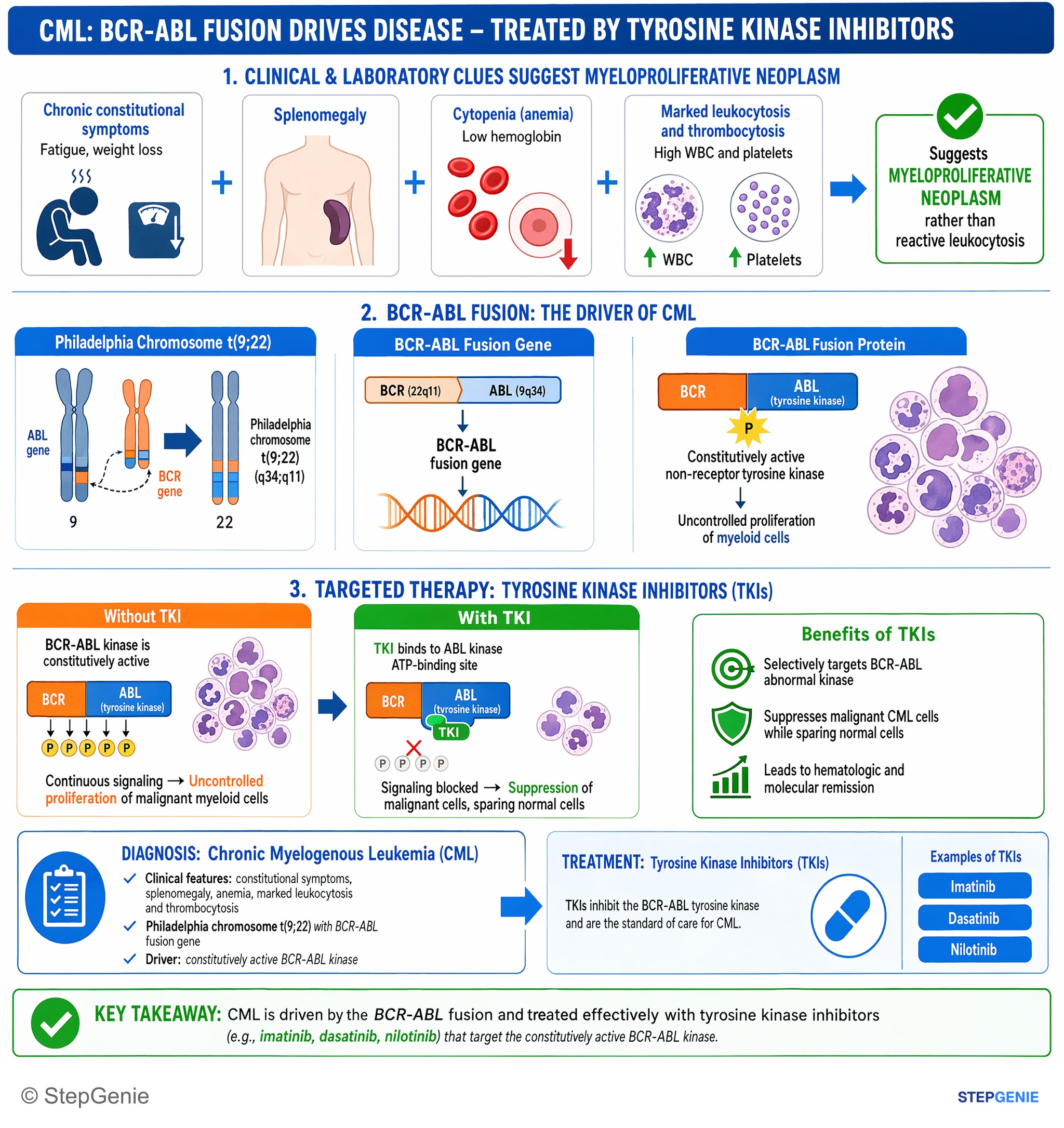 Principles of oncology — StepGenie USMLE Step 1 explanation infographic