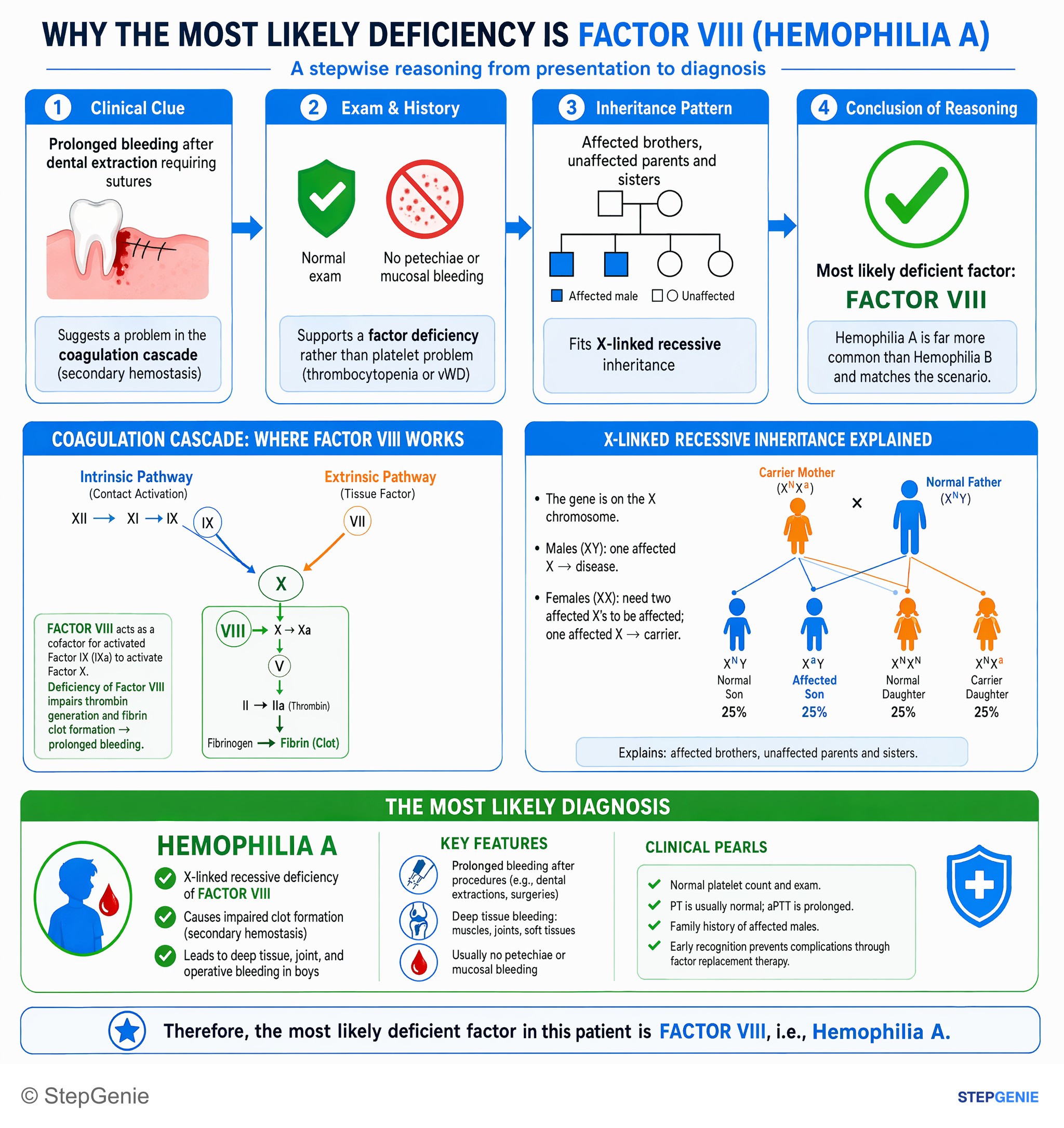 Hemostasis and thrombosis — StepGenie USMLE Step 1 explanation infographic