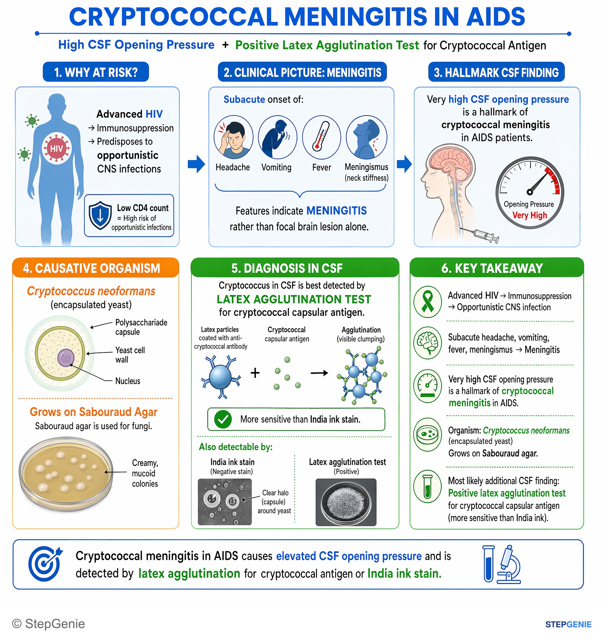 Fungal infections — StepGenie USMLE Step 1 explanation infographic