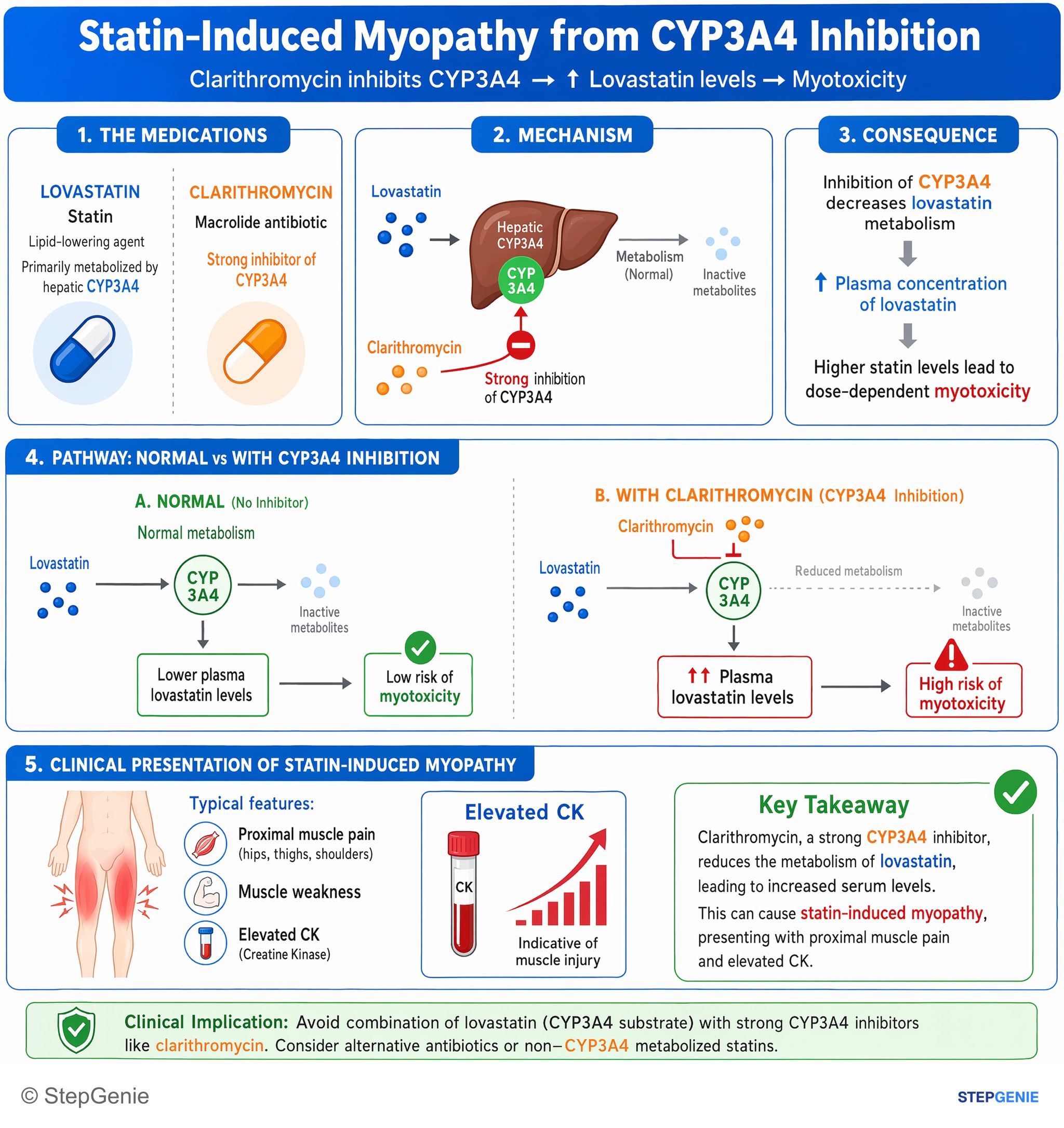 Cardiovascular drugs — StepGenie USMLE Step 1 explanation infographic