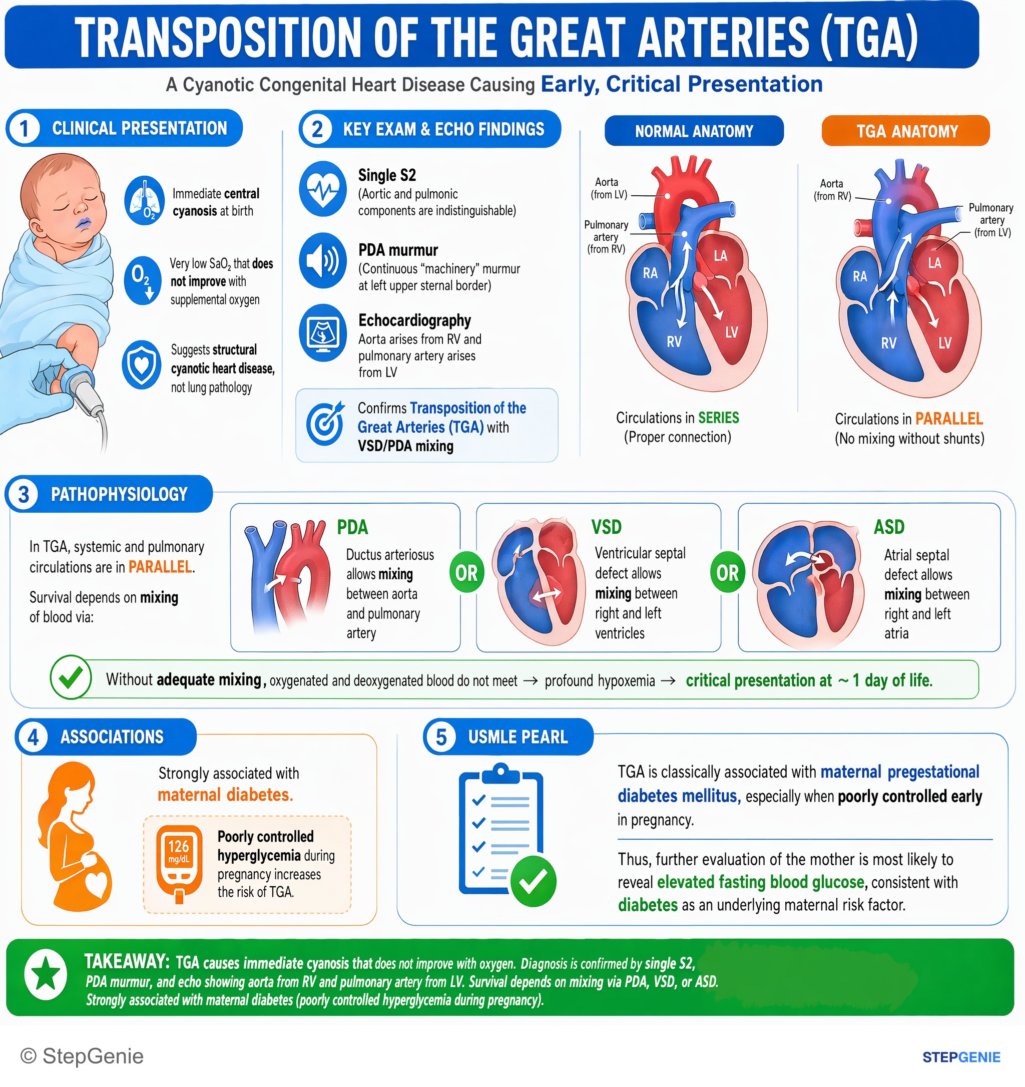 Congenital heart disease — StepGenie USMLE Step 1 explanation infographic