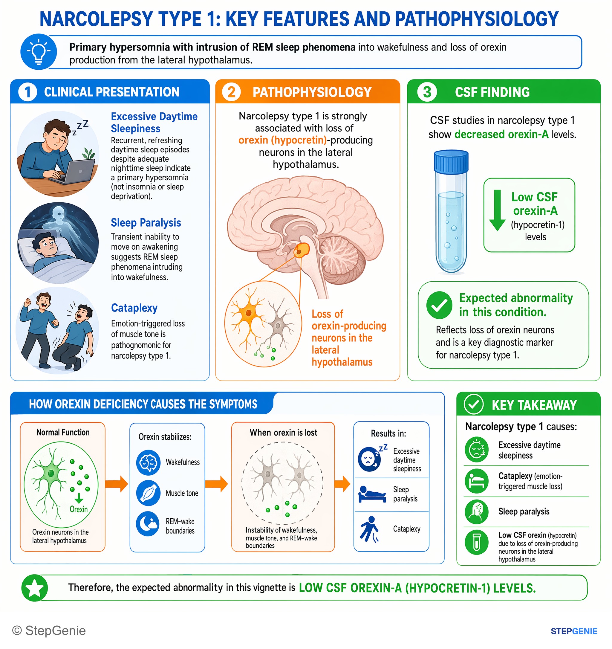 Sleep disorders — StepGenie USMLE Step 1 explanation infographic