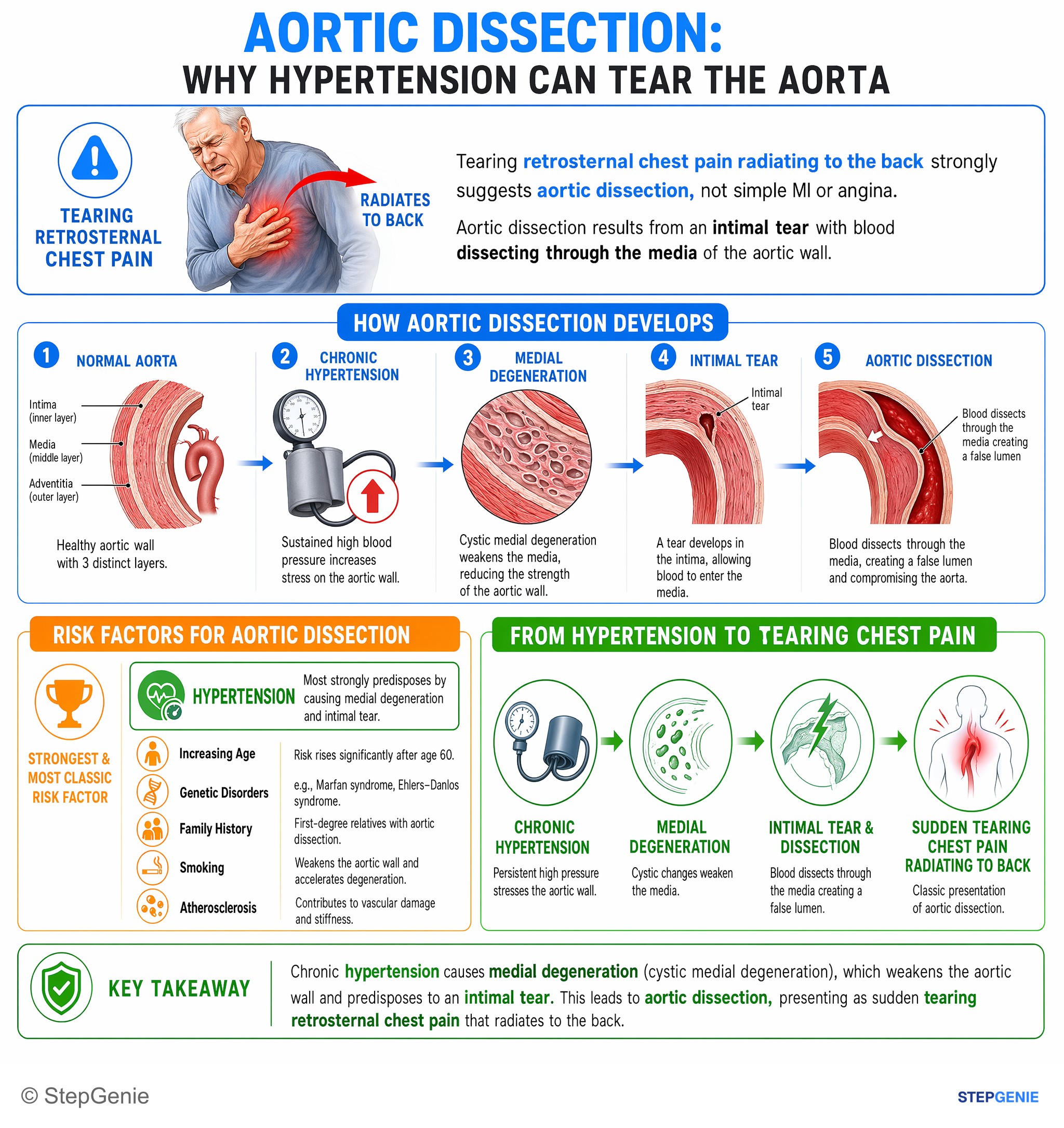 Aortic and peripheral artery diseases — StepGenie USMLE Step 2 explanation infographic