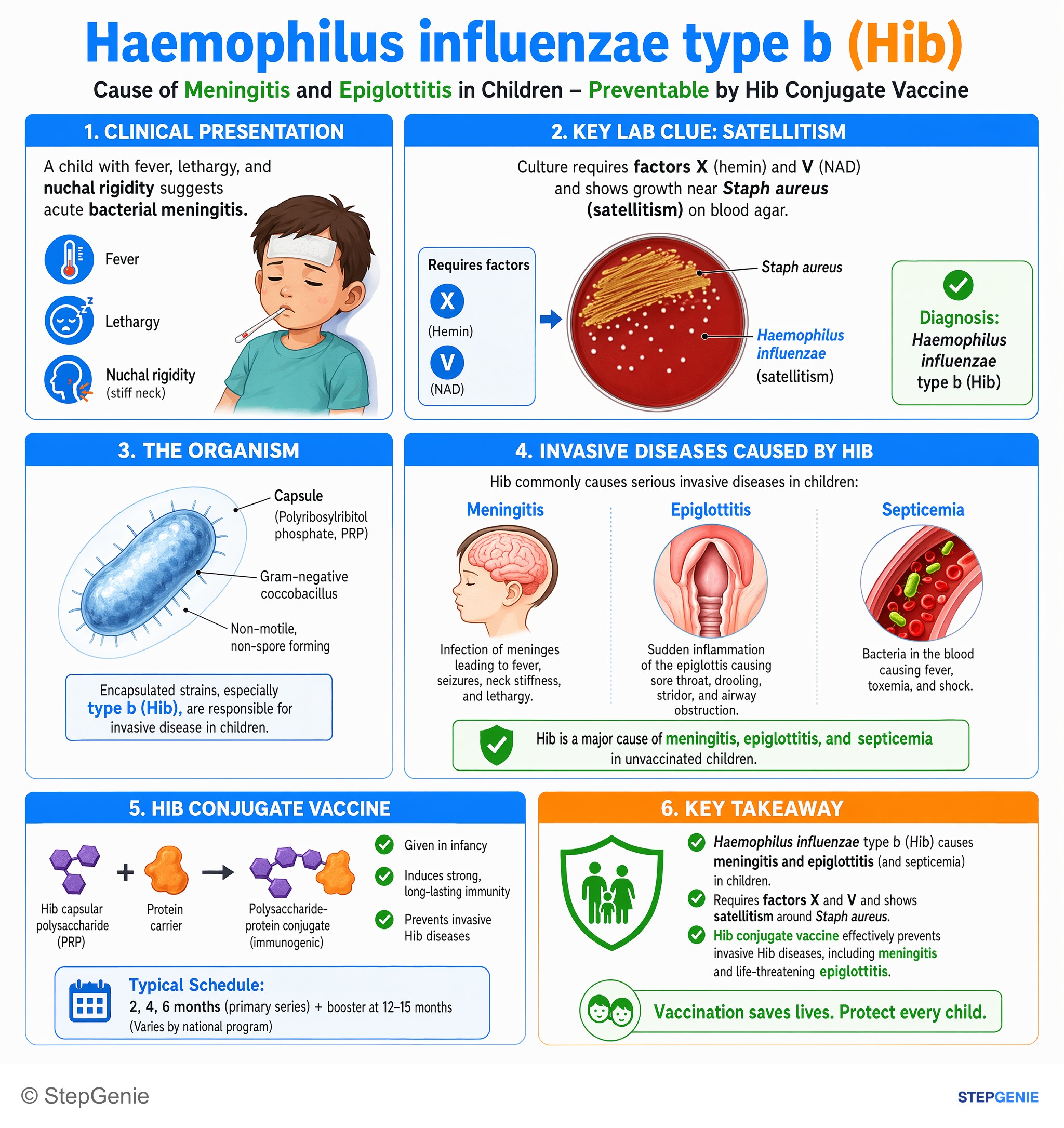 CNS infections — StepGenie USMLE Step 1 explanation infographic