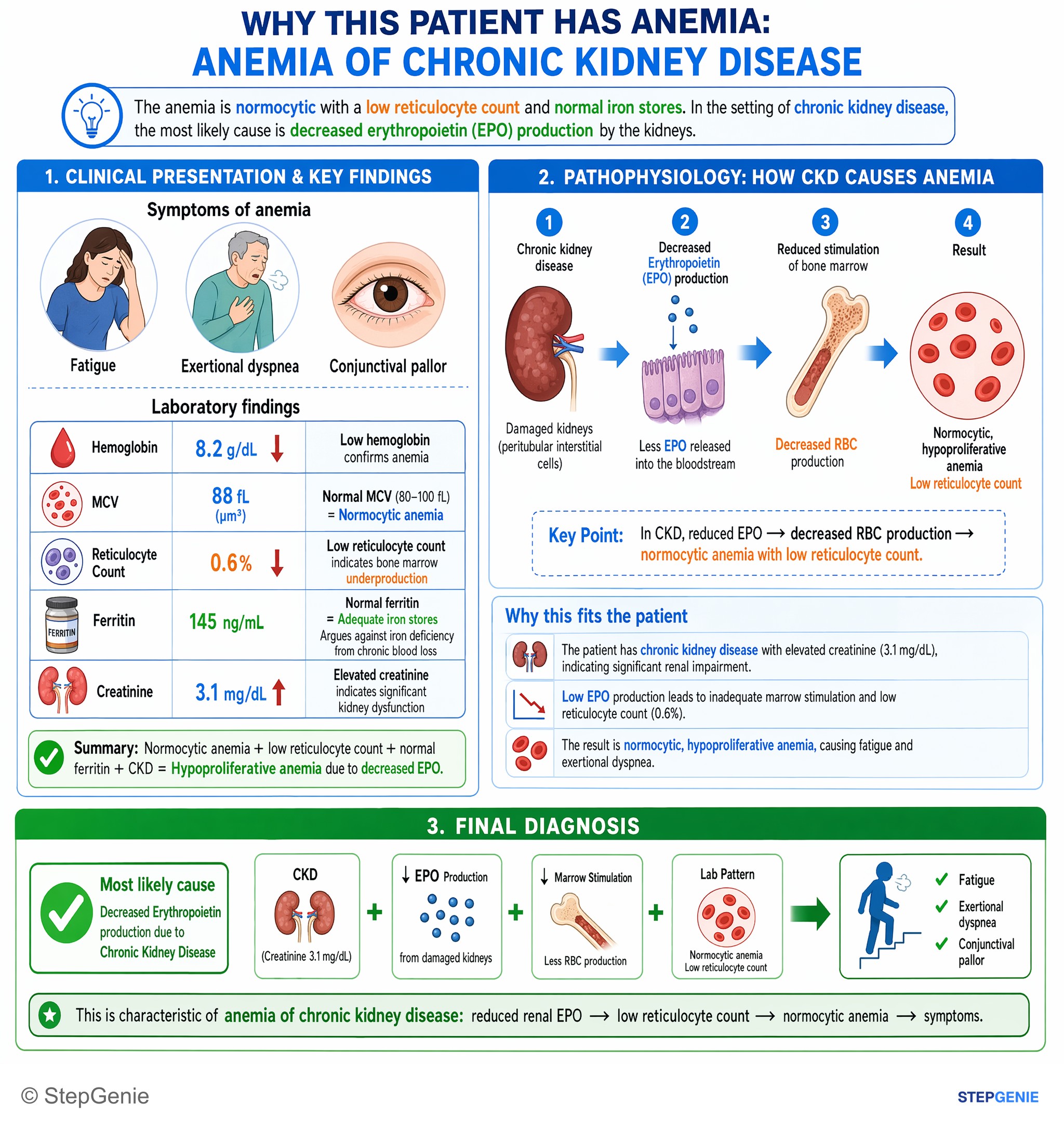 Chronic kidney disease — StepGenie USMLE Step 1 explanation infographic