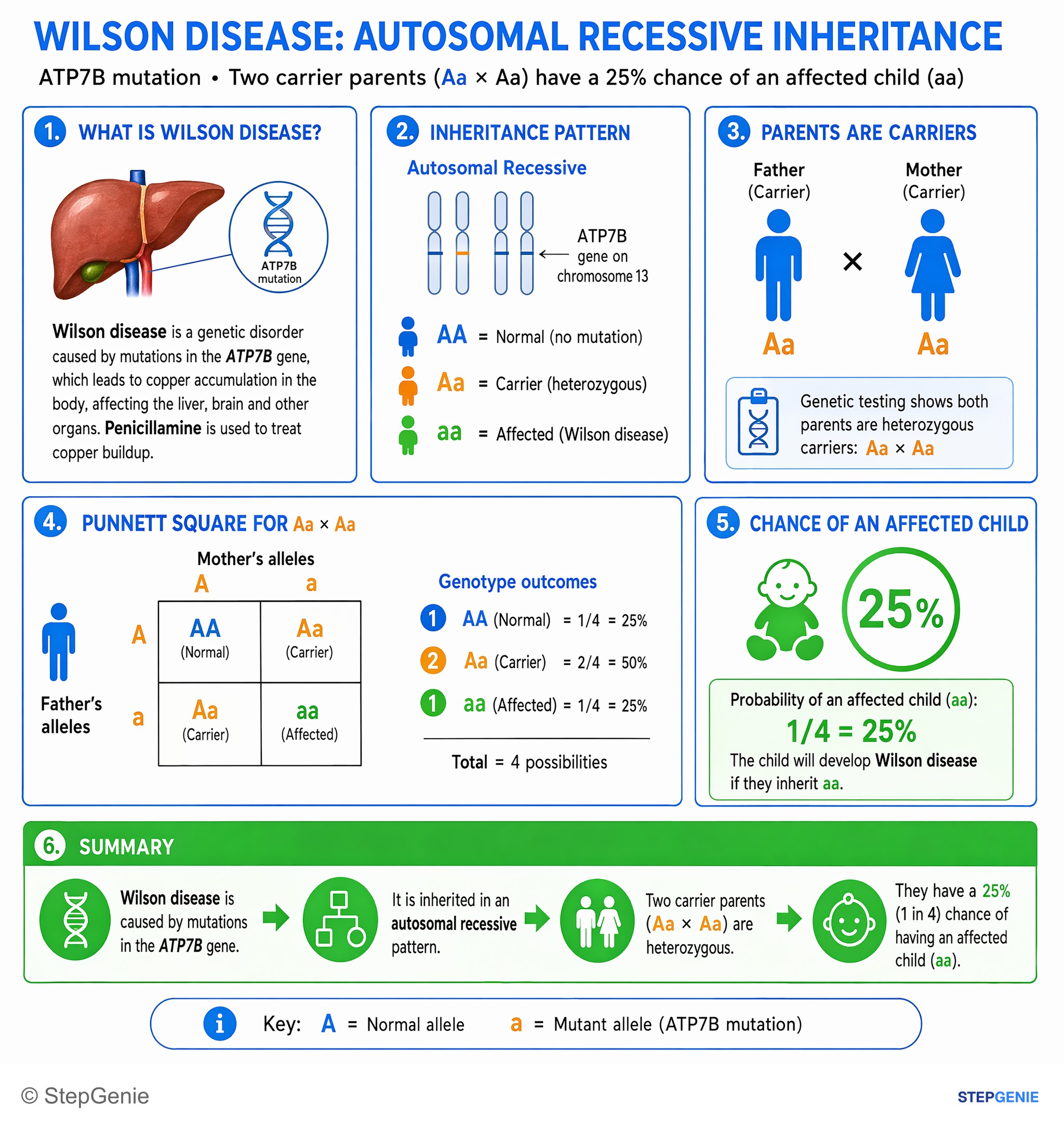 Clinical genetics — StepGenie USMLE Step 1 explanation infographic