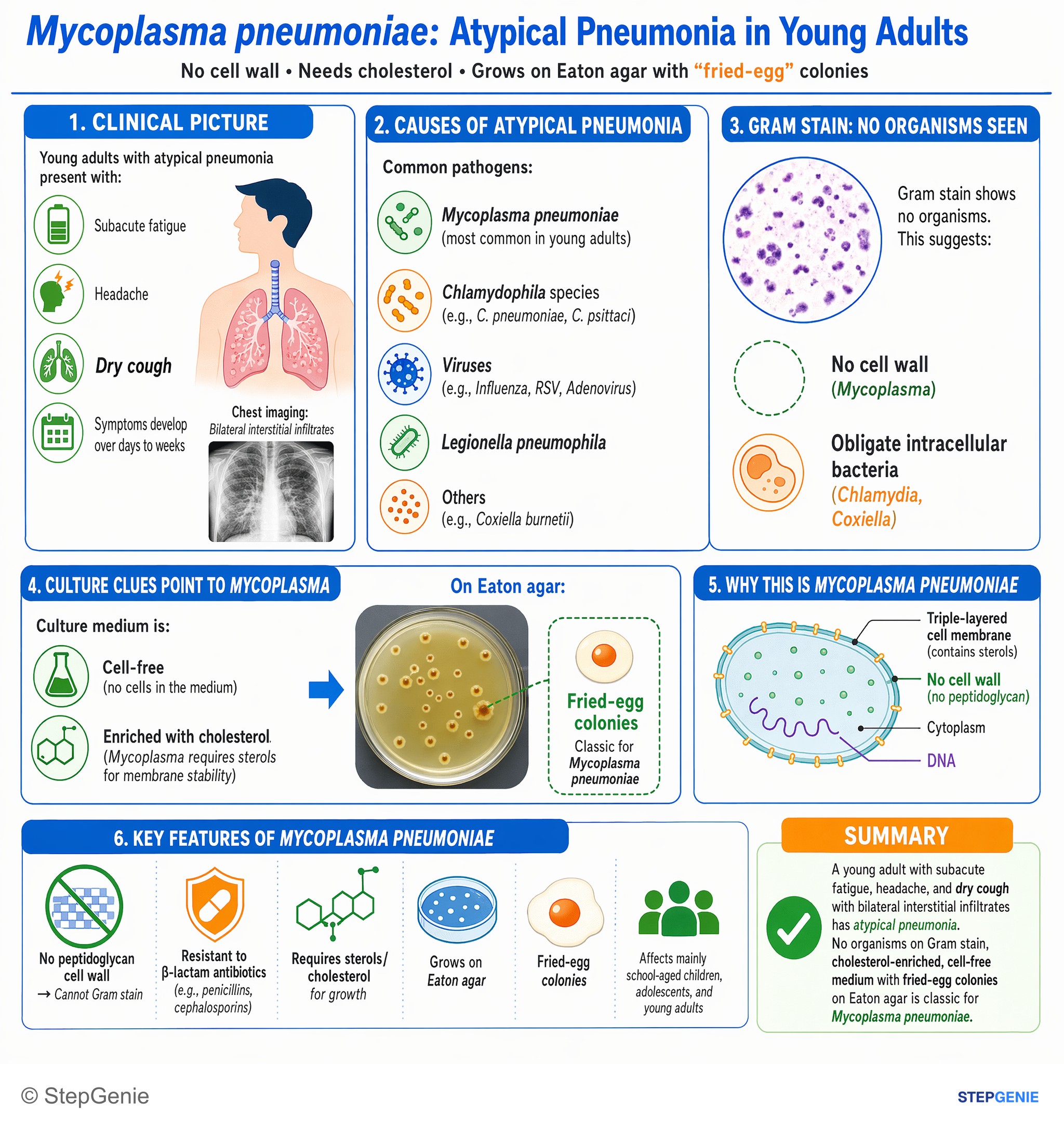 Bacterial infections — StepGenie USMLE Step 1 explanation infographic