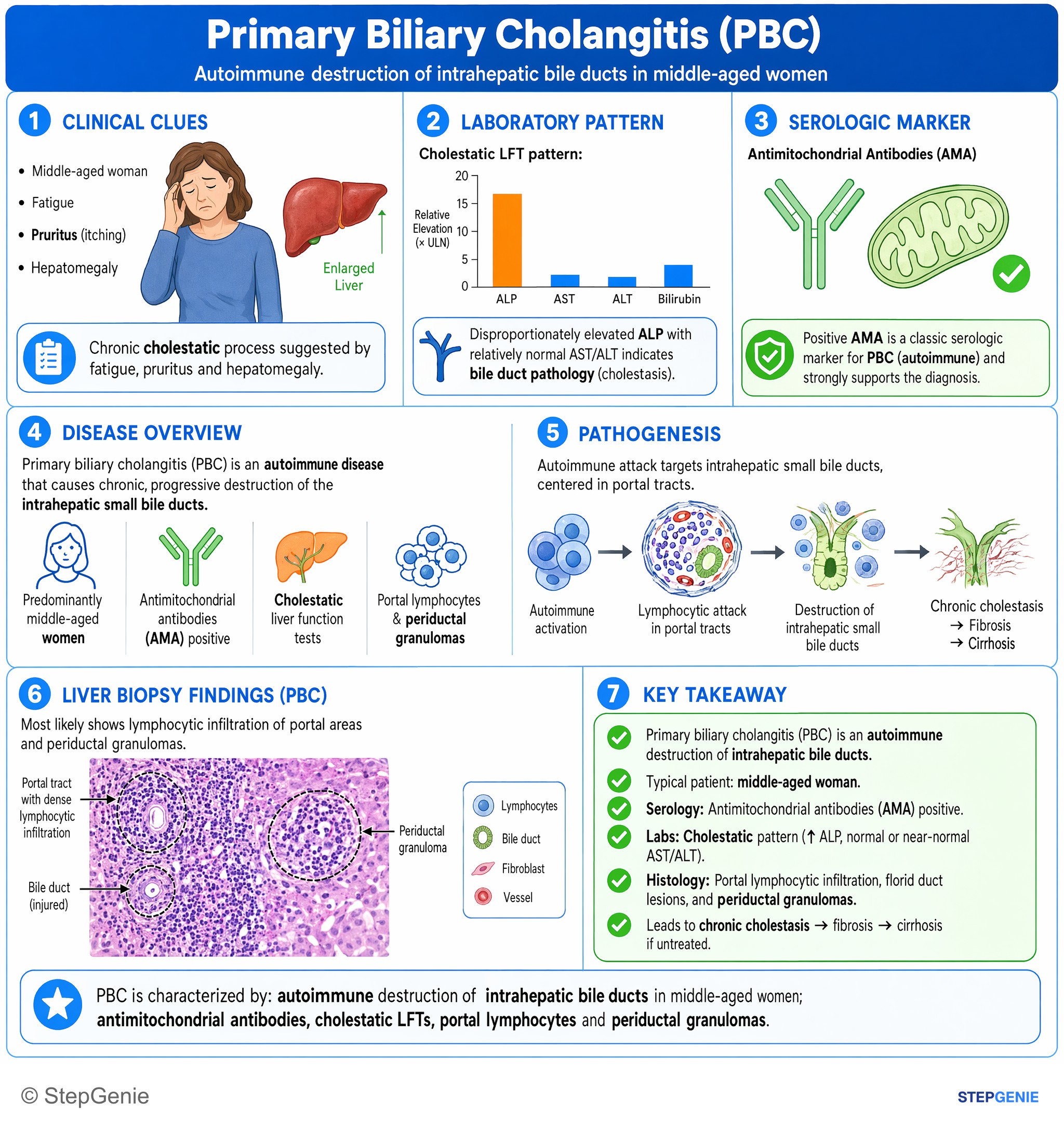 Hepatic disorders — StepGenie USMLE Step 1 explanation infographic