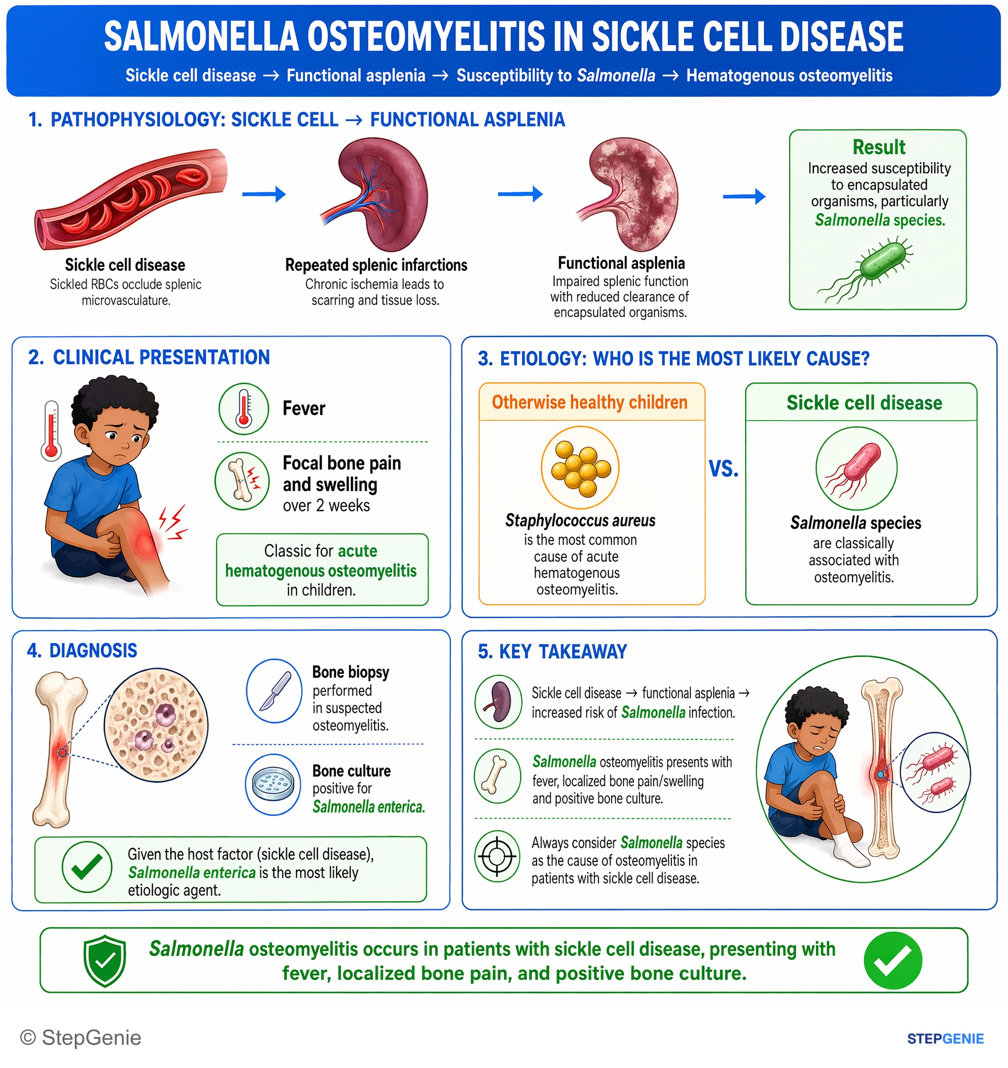Bone/joint injuries and infections — StepGenie USMLE Step 1 explanation infographic
