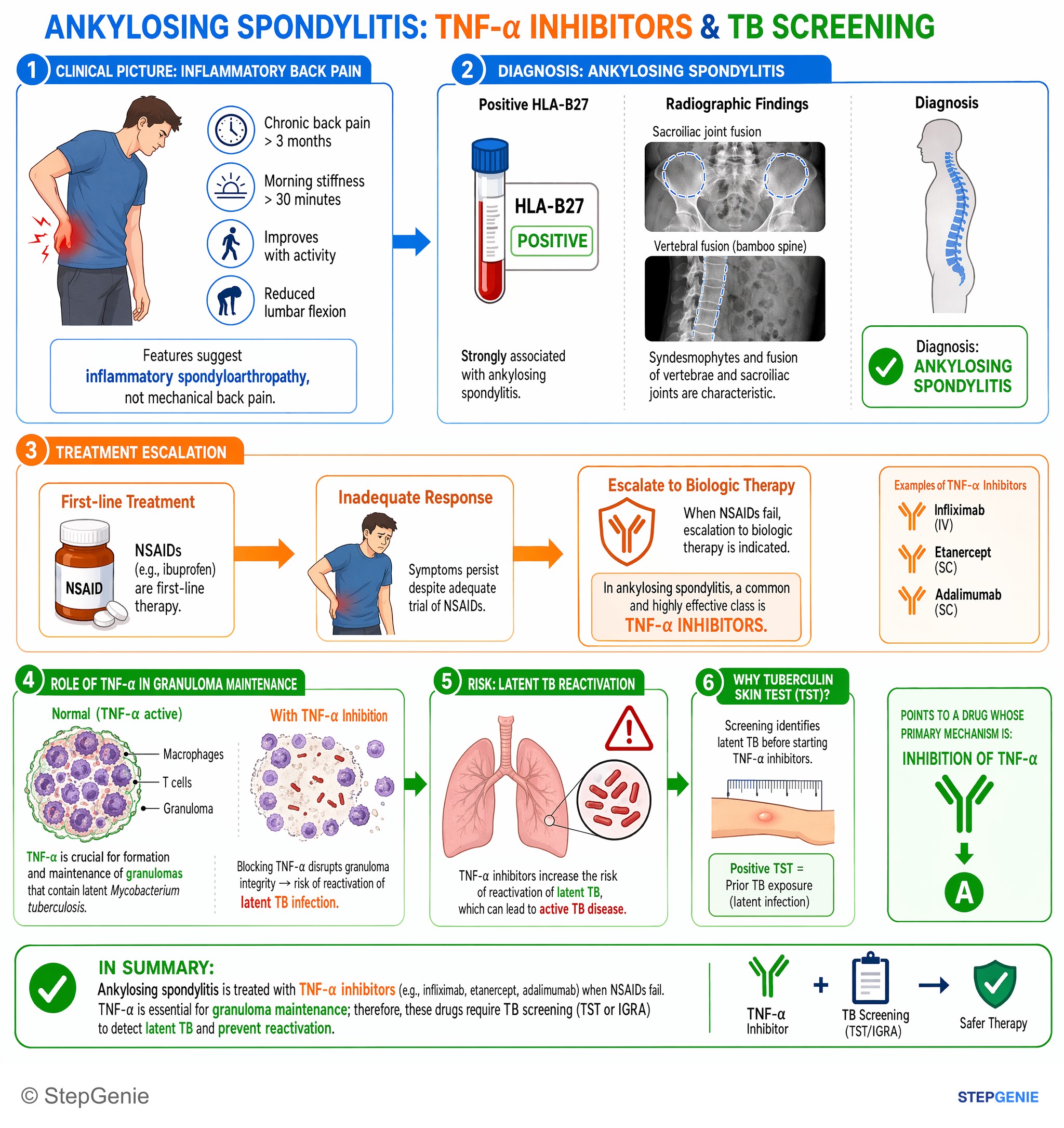 Arthritis and spondyloarthropathies — StepGenie USMLE Step 1 explanation infographic