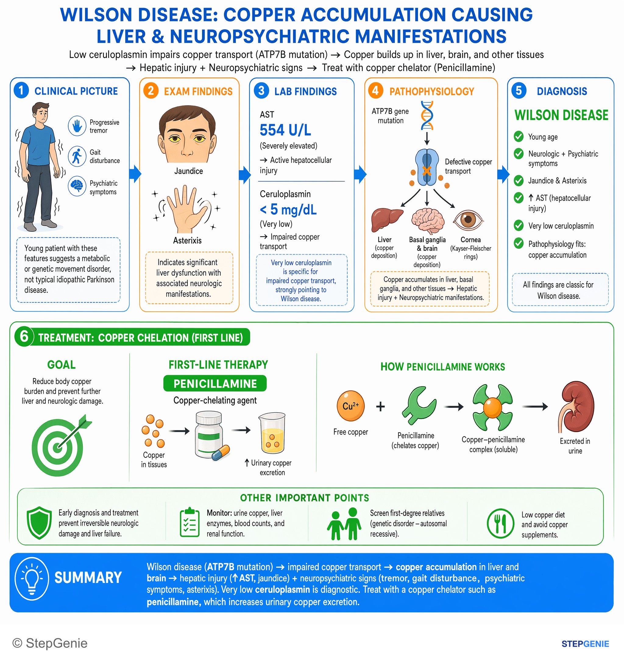 Hepatic disorders — StepGenie USMLE Step 2 explanation infographic