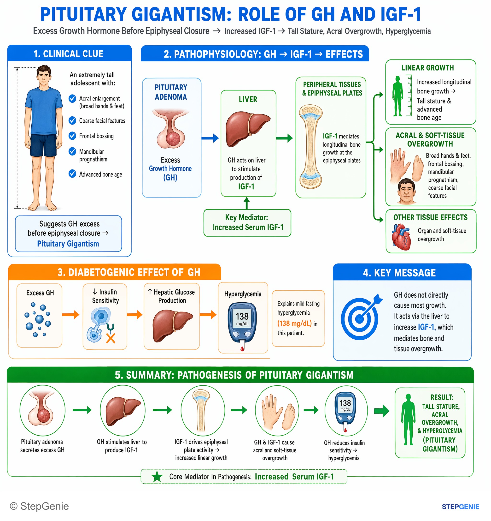 Hypothalamus and pituitary disorders — StepGenie USMLE Step 1 explanation infographic