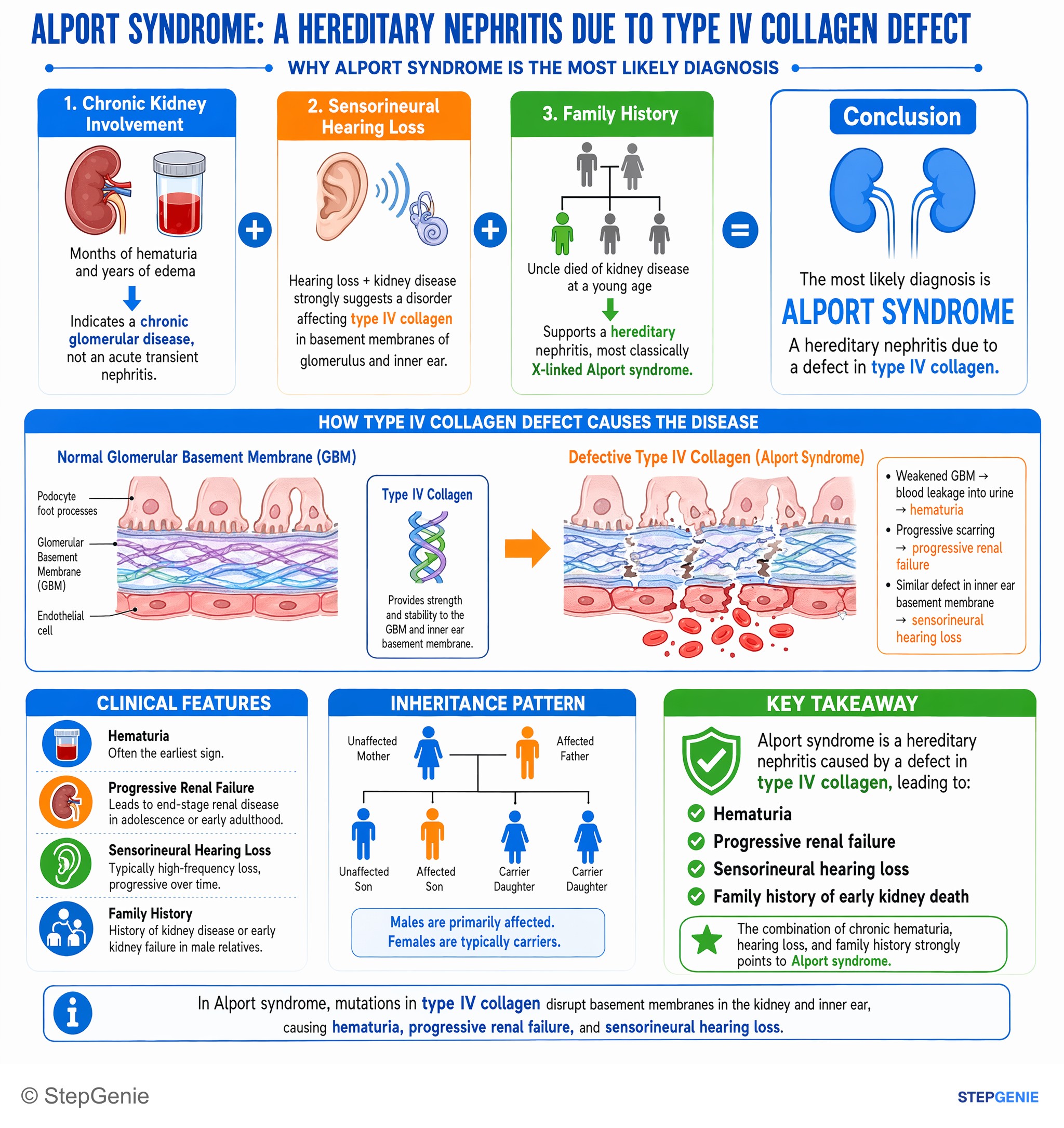 Nephrotic & nephritic syndromes — StepGenie USMLE Step 1 explanation infographic
