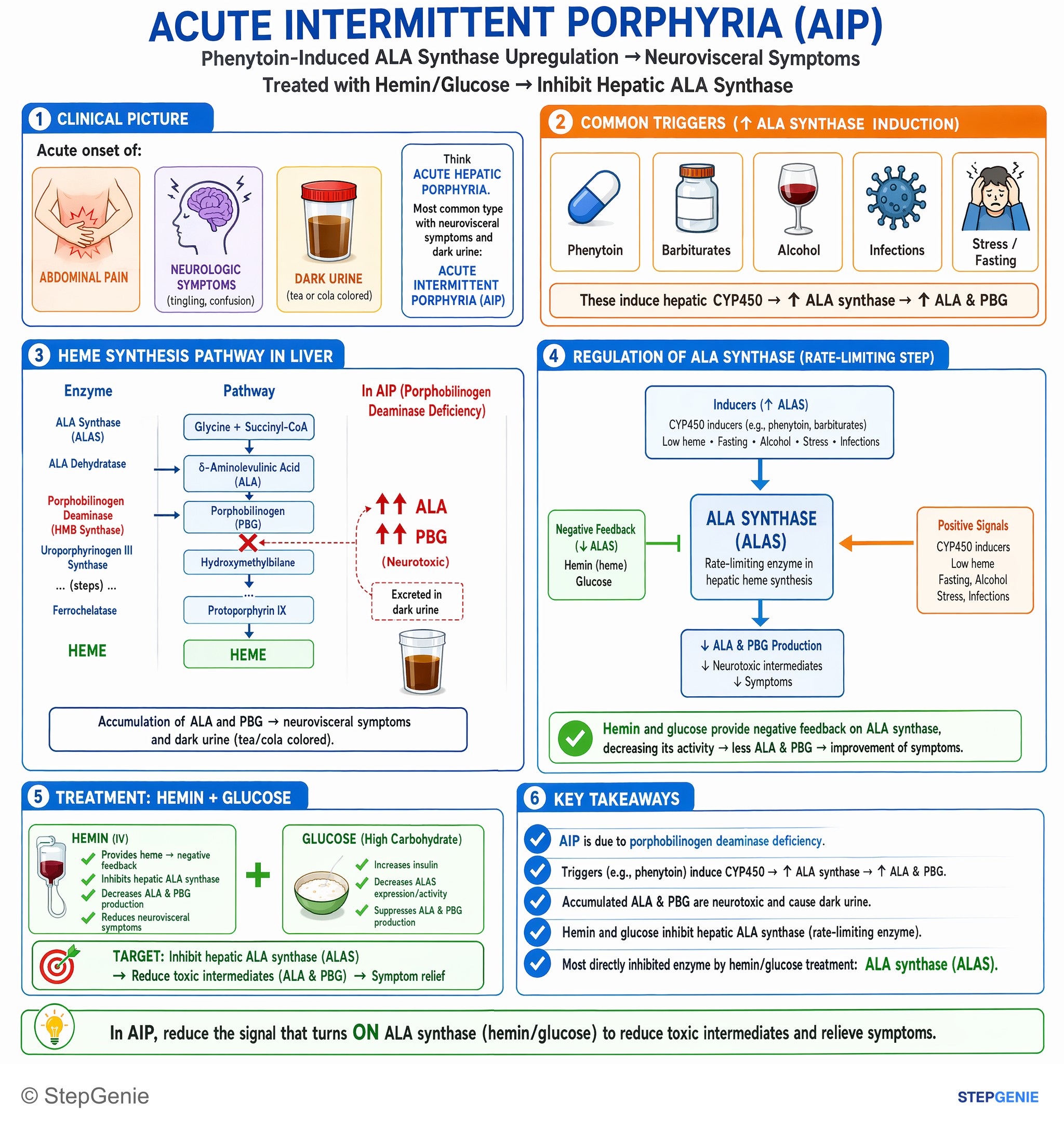 Metabolic enzymes — StepGenie USMLE Step 1 explanation infographic