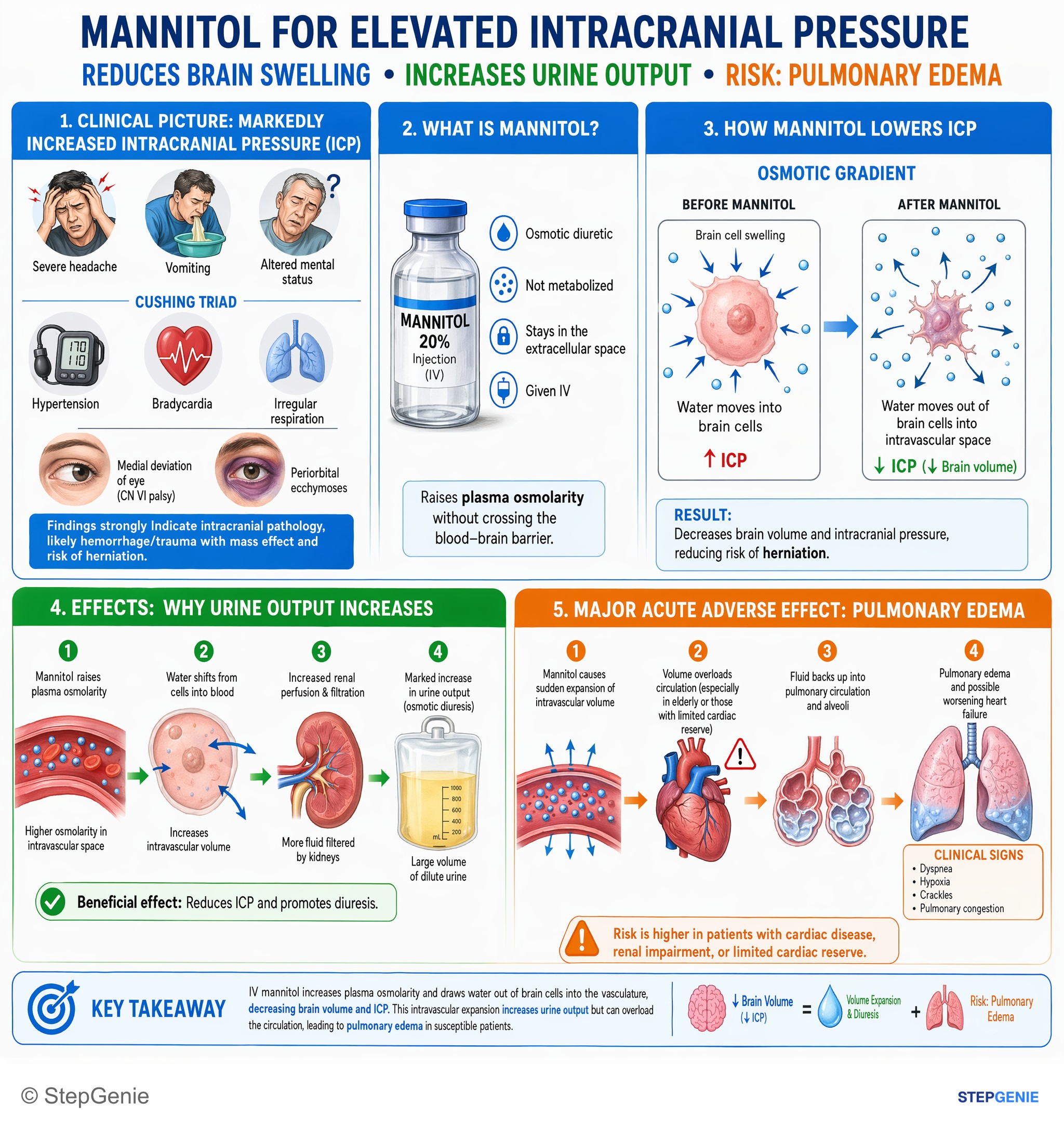 Drug effects / Toxic neuropathies — StepGenie USMLE Step 1 explanation infographic