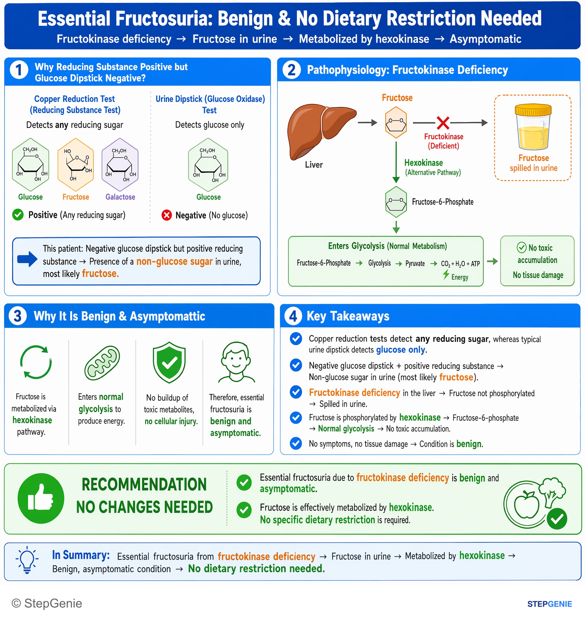 Bioenergetics and carbohydrate metabolism — StepGenie USMLE Step 1 explanation infographic