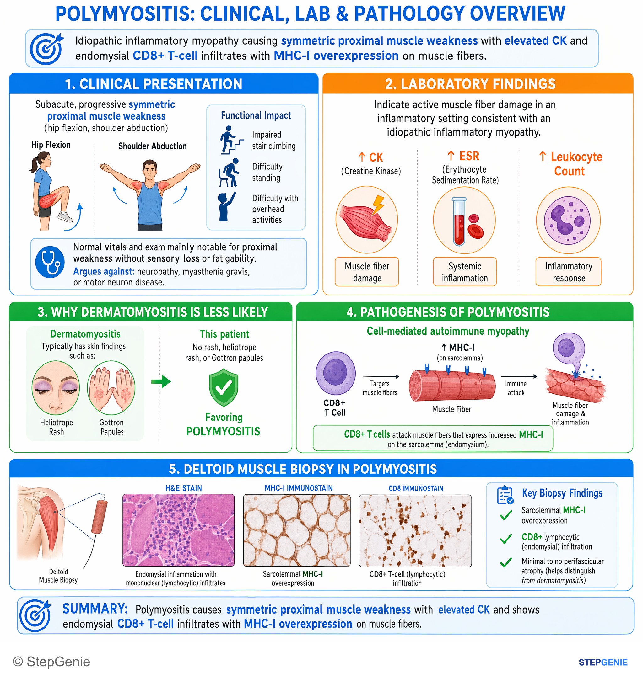 Muscular disorders — StepGenie USMLE Step 1 explanation infographic