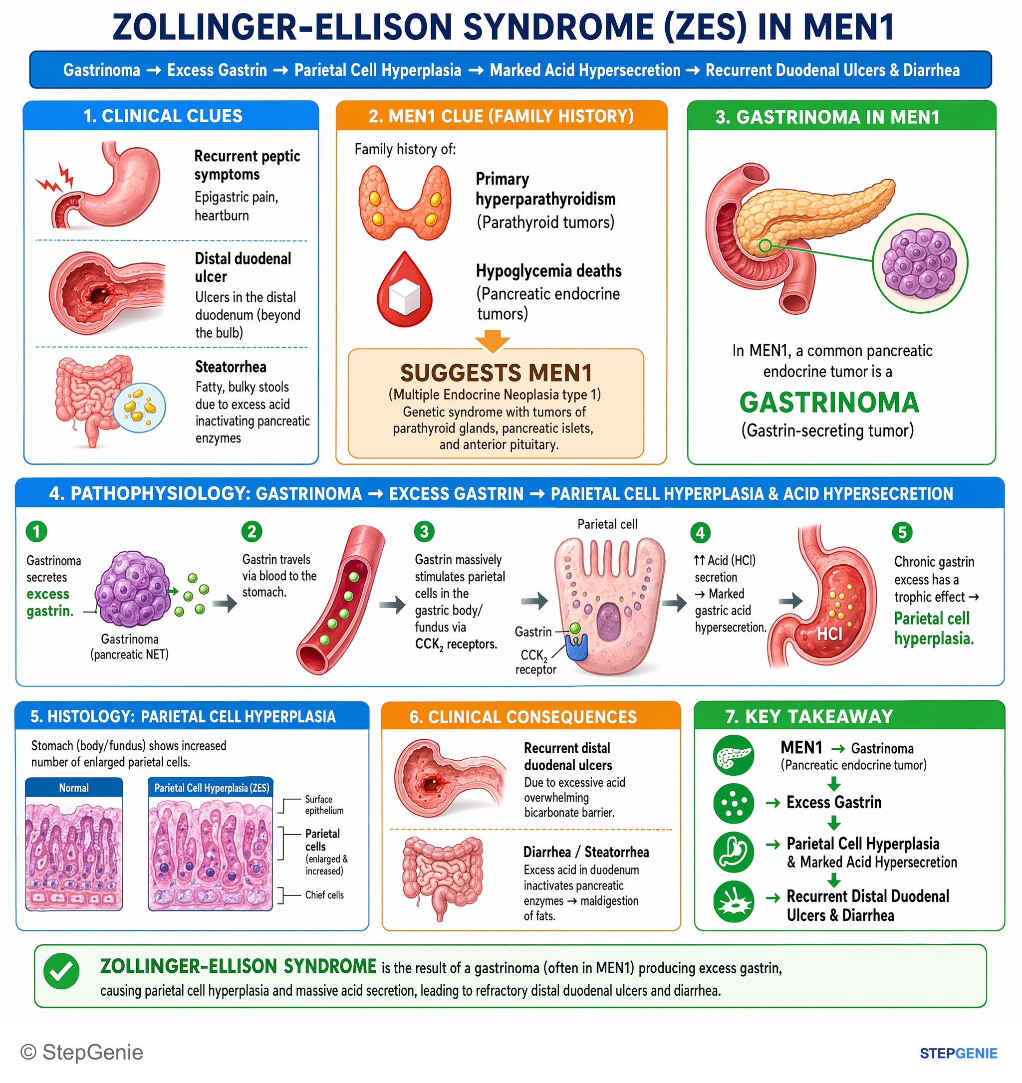 Tumors/Malignancy of the GI tract — StepGenie USMLE Step 1 explanation infographic