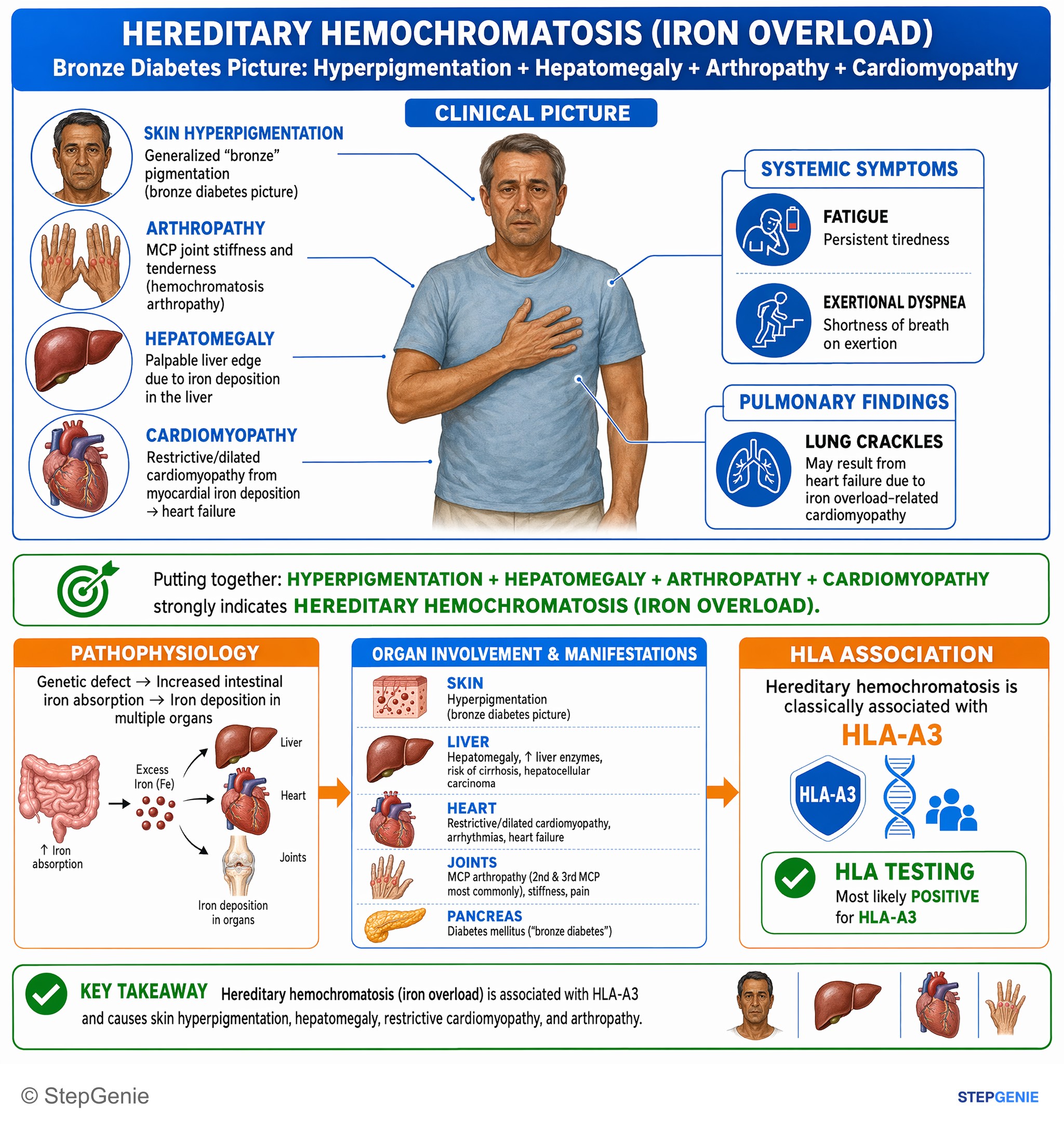 Hepatic disorders — StepGenie USMLE Step 1 explanation infographic