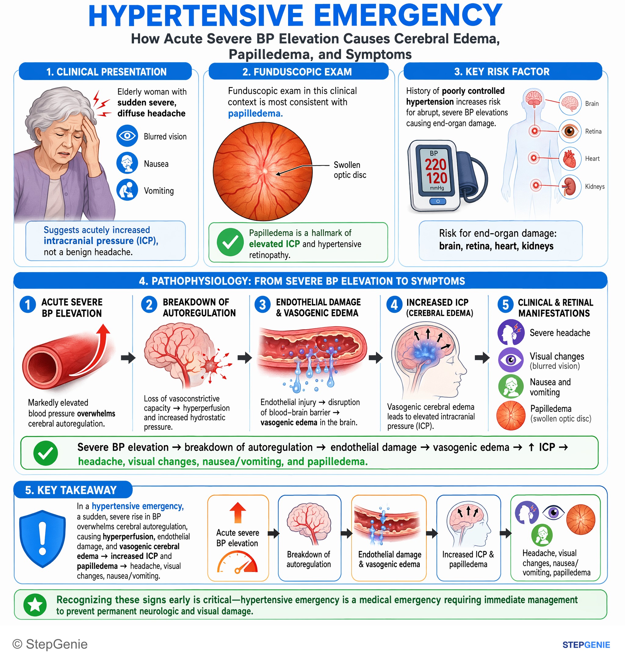 Strokes & Stroke-related stuff — StepGenie USMLE Step 1 explanation infographic