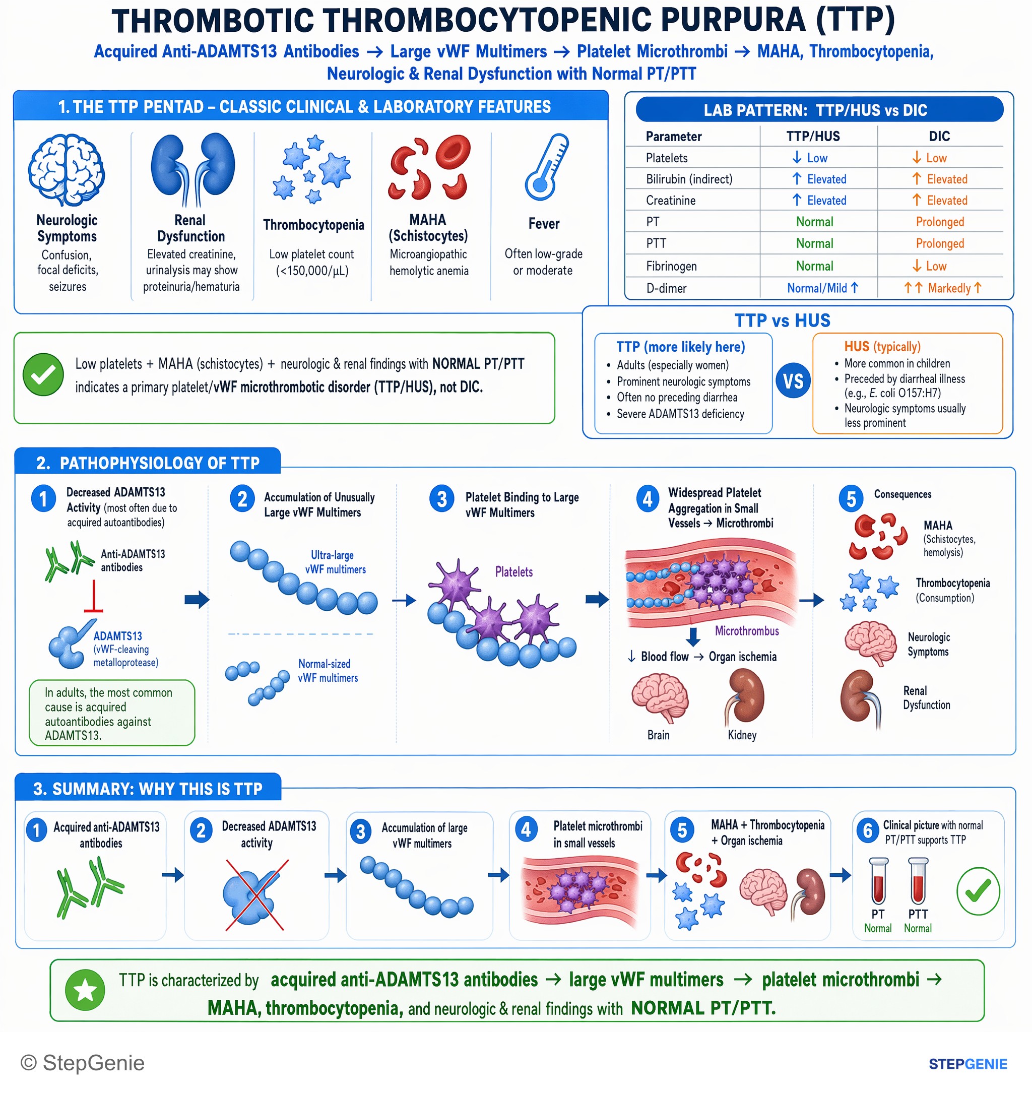 Hemolytic disorders — StepGenie USMLE Step 1 explanation infographic