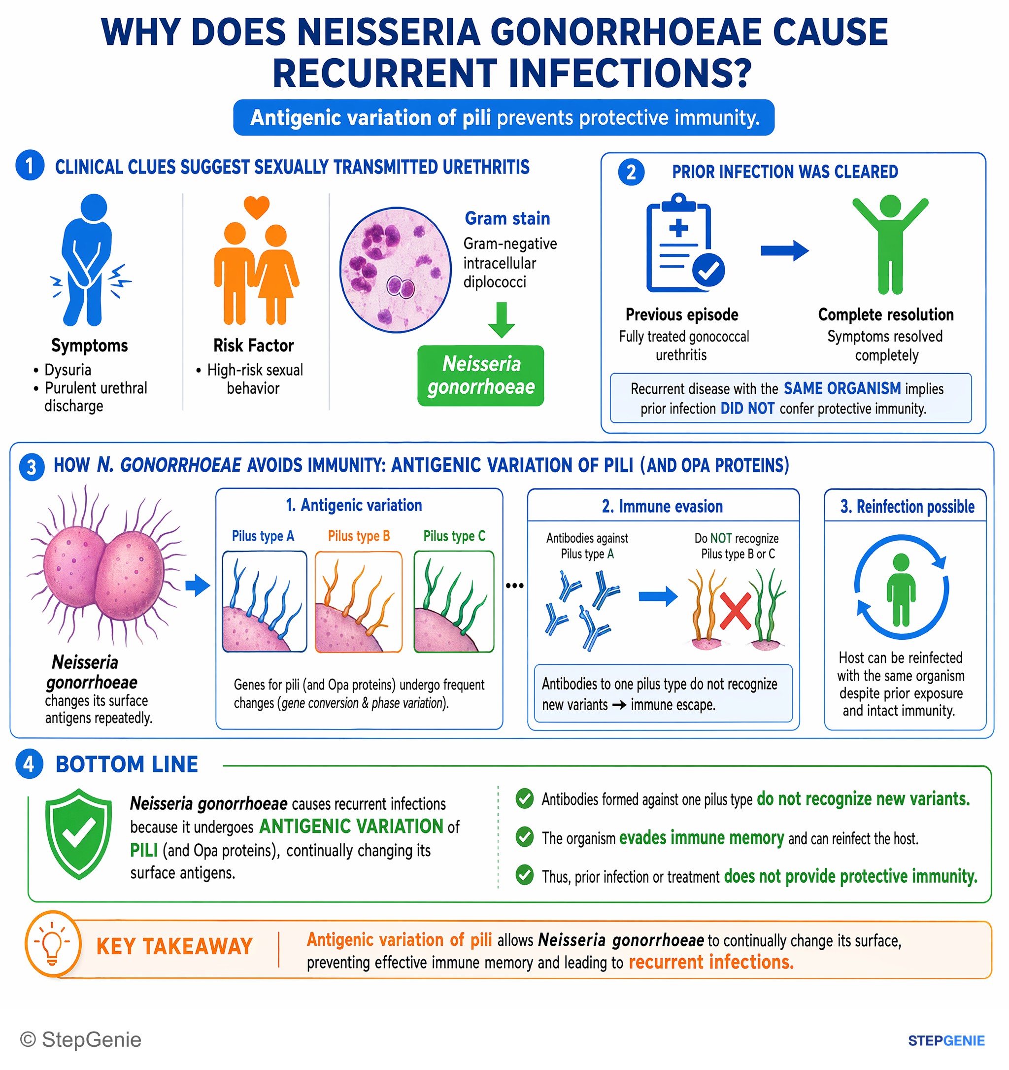 Bacterial infections — StepGenie USMLE Step 1 explanation infographic