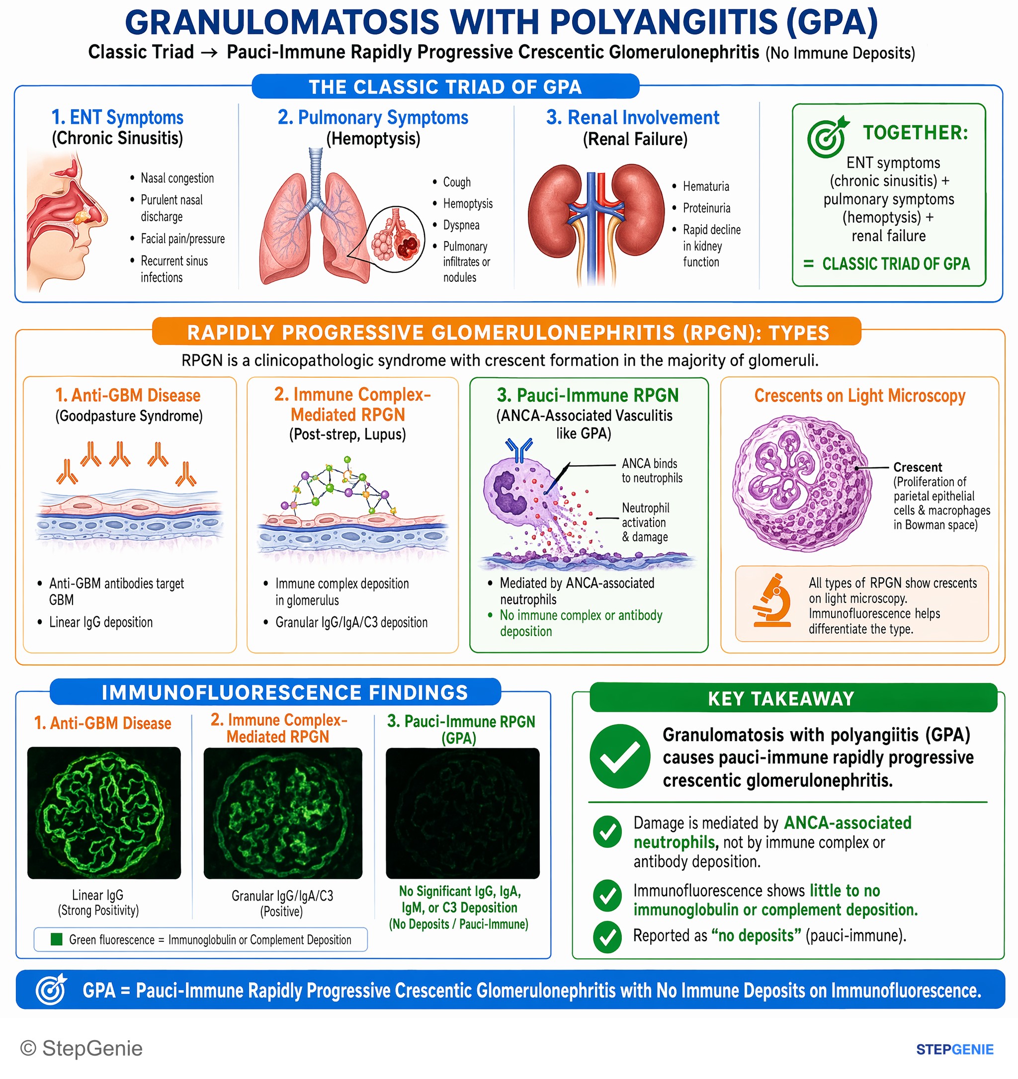 Glomerular diseases — StepGenie USMLE Step 1 explanation infographic