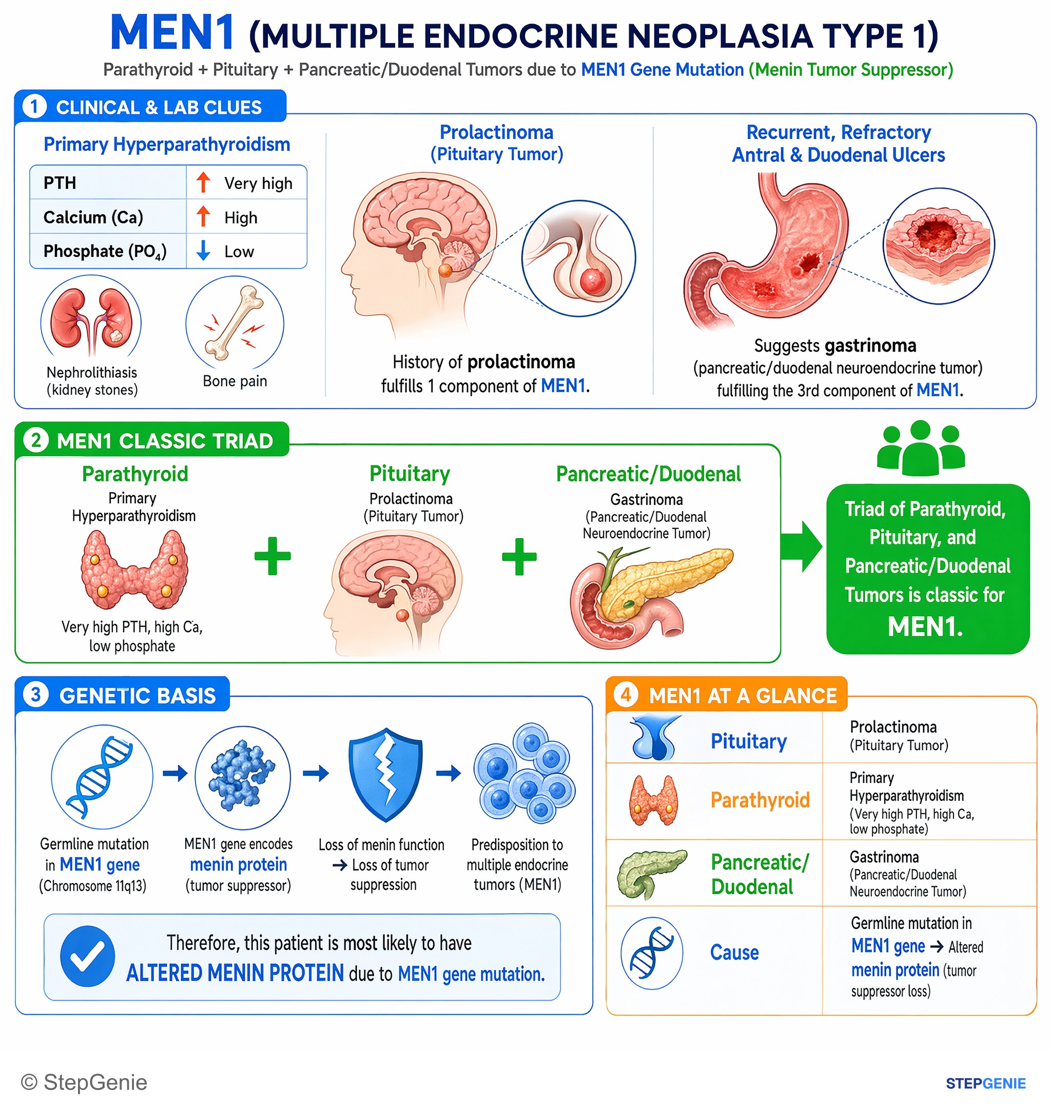 Endocrine tumors — StepGenie USMLE Step 1 explanation infographic