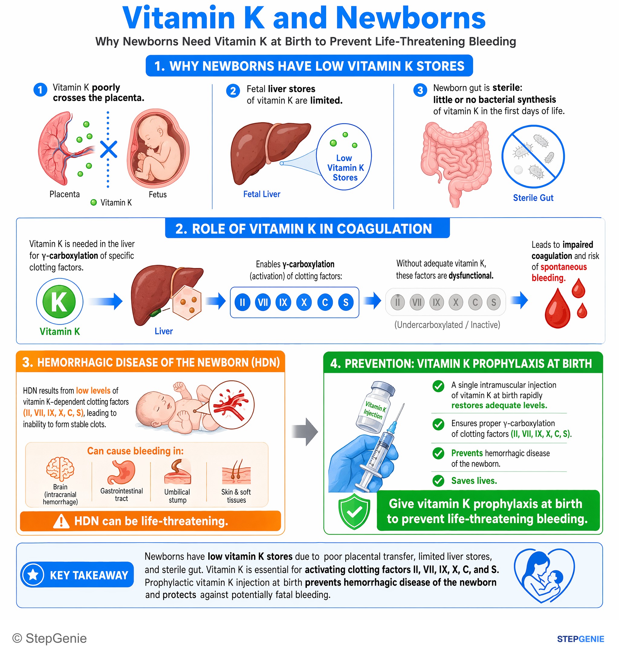 Disorders of nutrition — StepGenie USMLE Step 2 explanation infographic