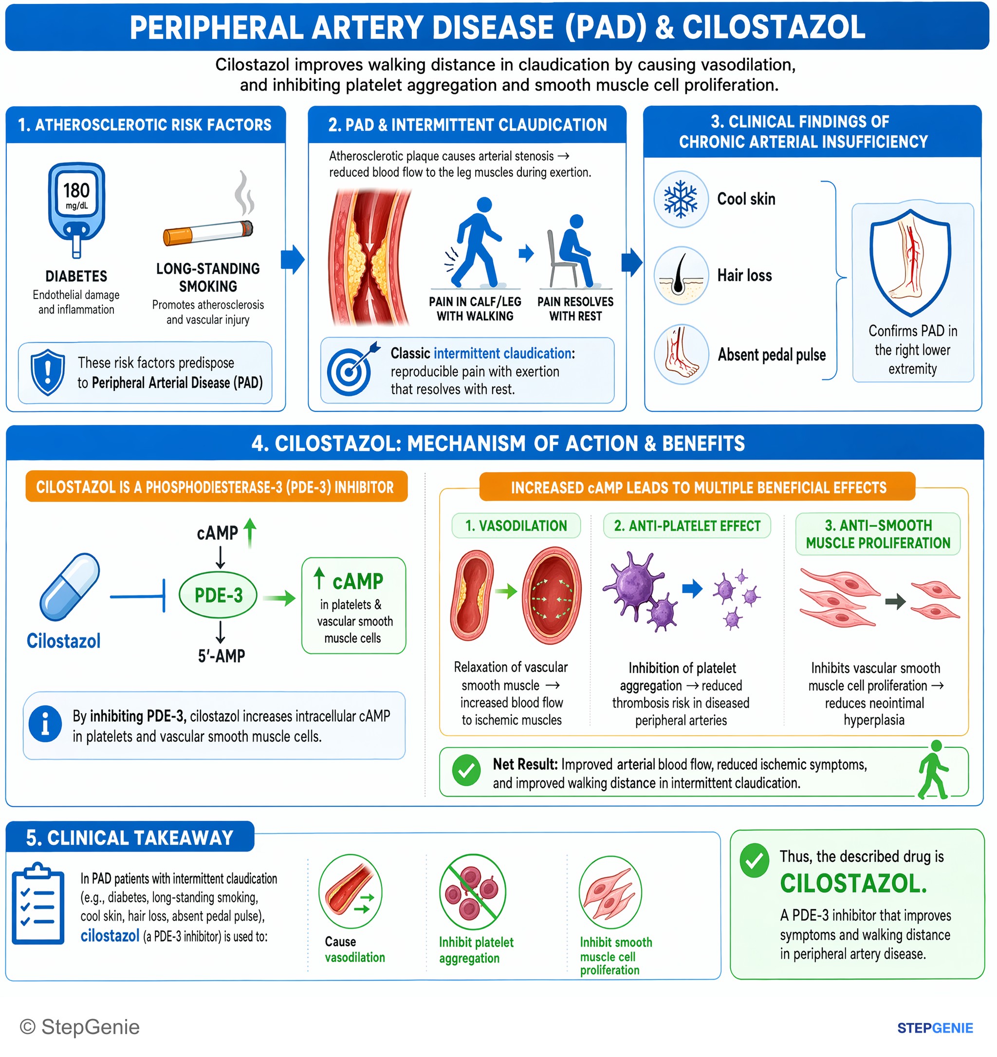 Cardiovascular drugs — StepGenie USMLE Step 1 explanation infographic