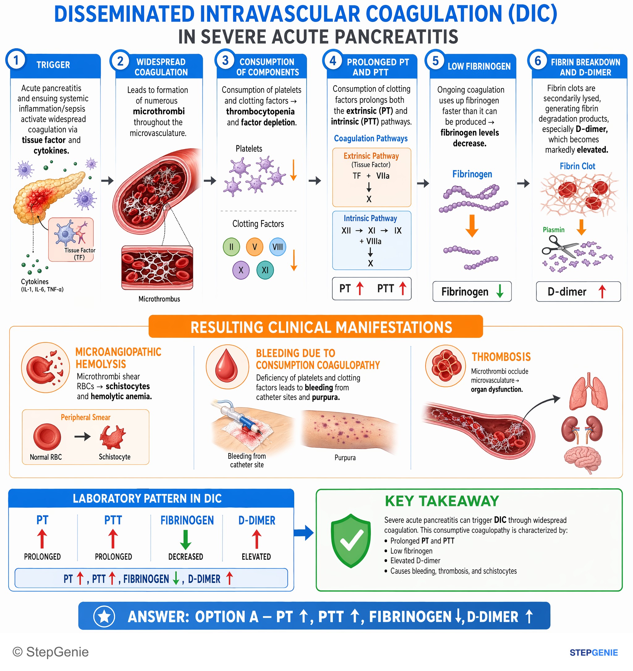 Hemostasis and thrombosis — StepGenie USMLE Step 1 explanation infographic