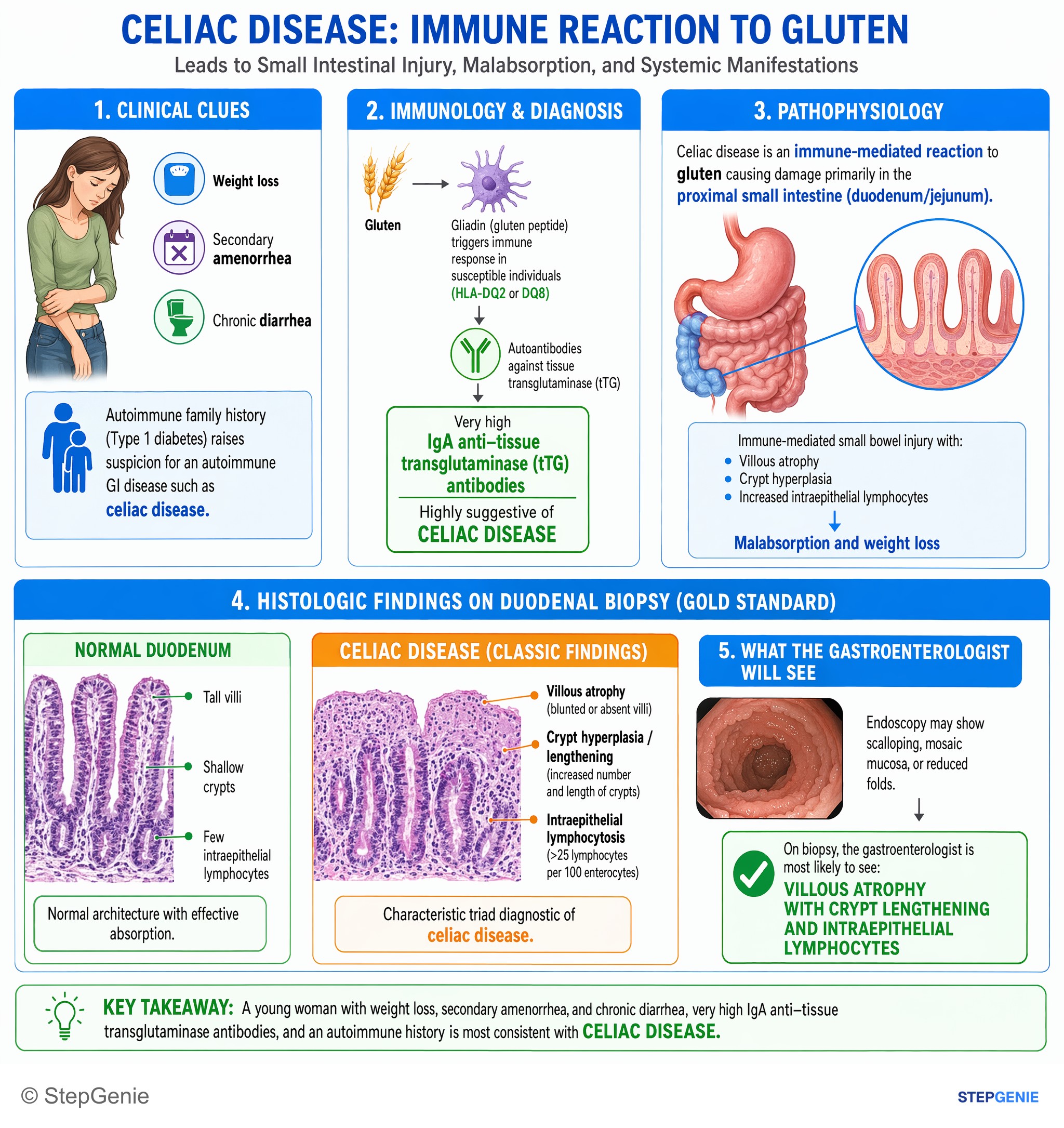 Intestinal and colorectal disorders — StepGenie USMLE Step 1 explanation infographic