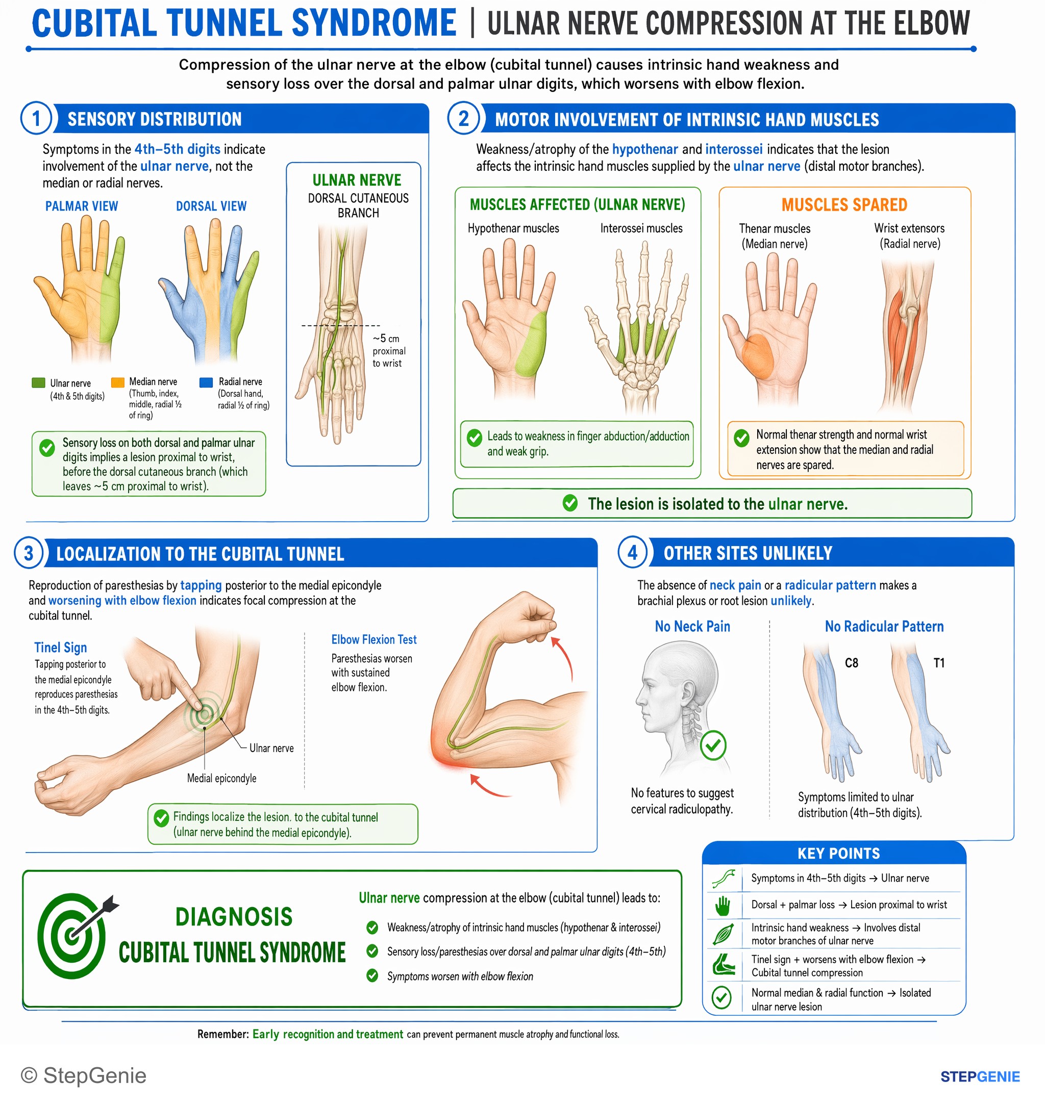 Upper limb nerves — StepGenie USMLE Step 1 explanation infographic