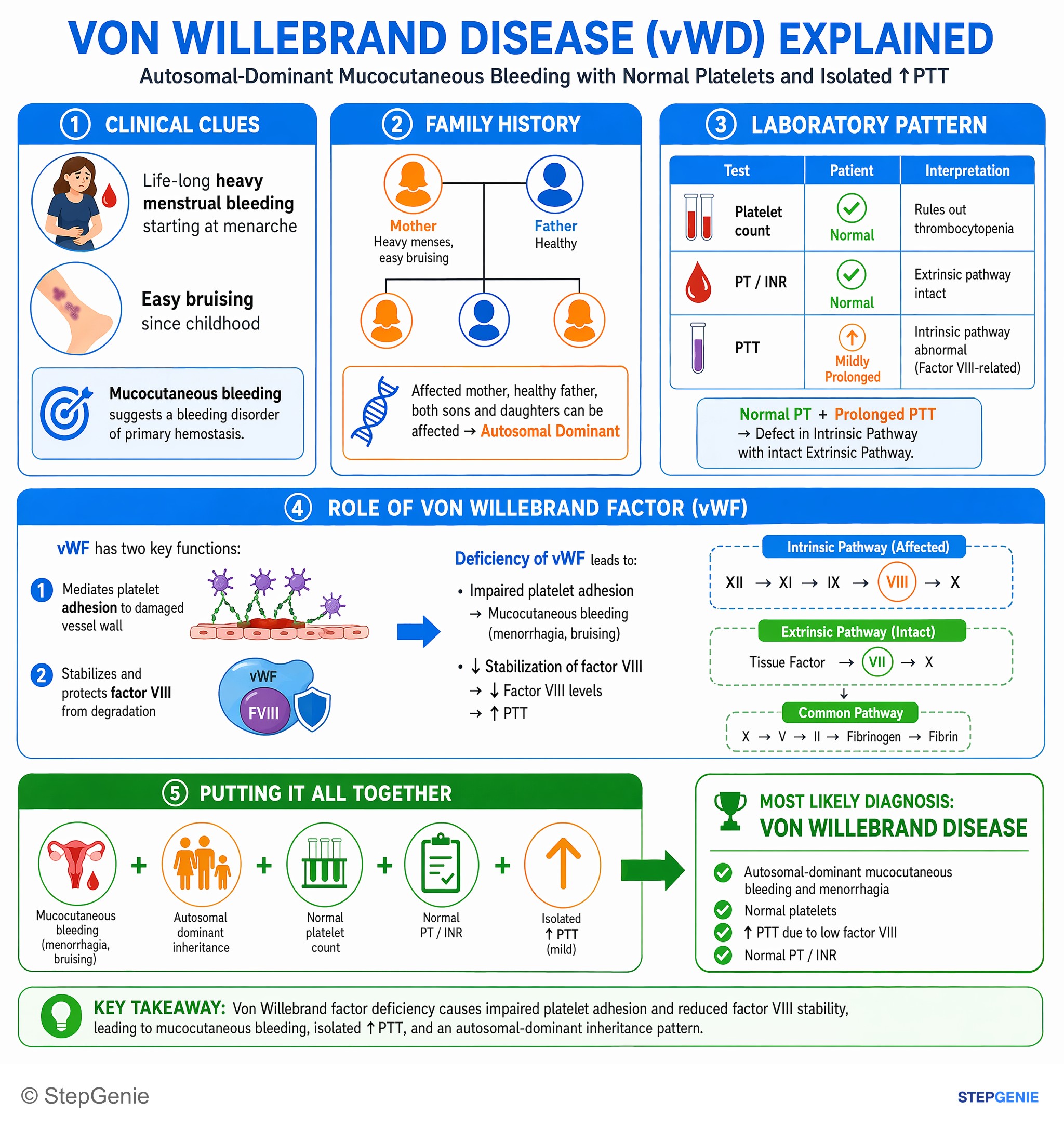 Bleeding disorders — StepGenie USMLE Step 1 explanation infographic