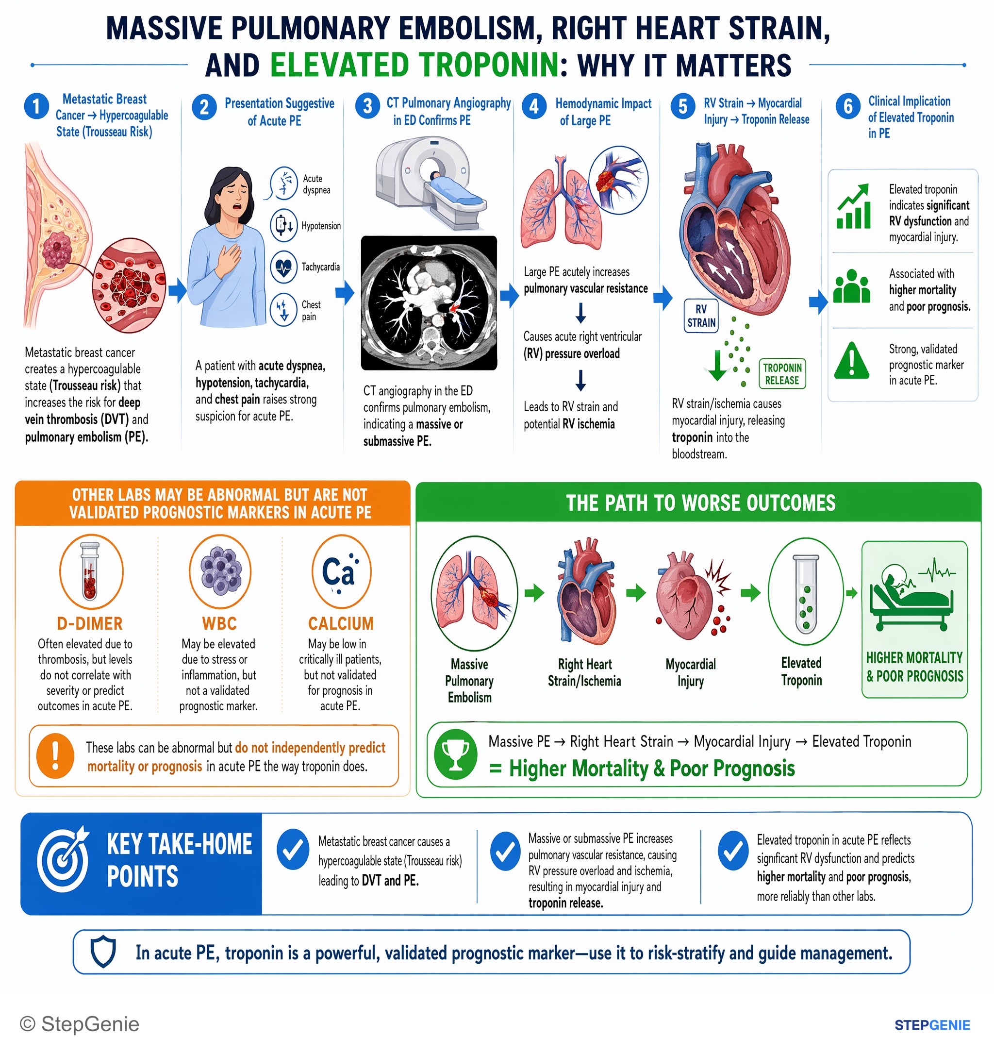Pulmonary vascular and cardiopulmonary disease — StepGenie USMLE Step 2 explanation infographic
