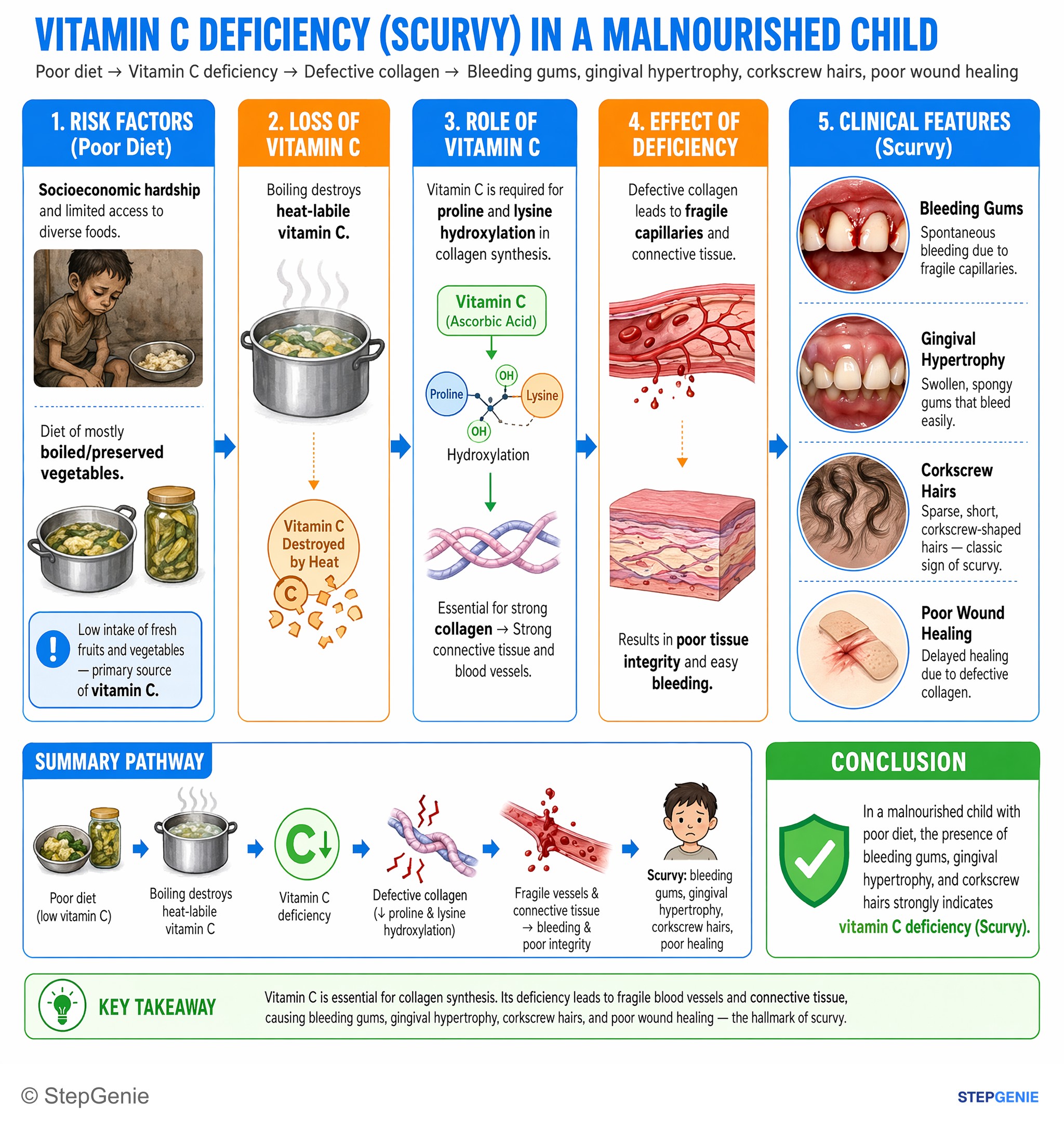 Vitamins, cofactors, nutrients — StepGenie USMLE Step 1 explanation infographic
