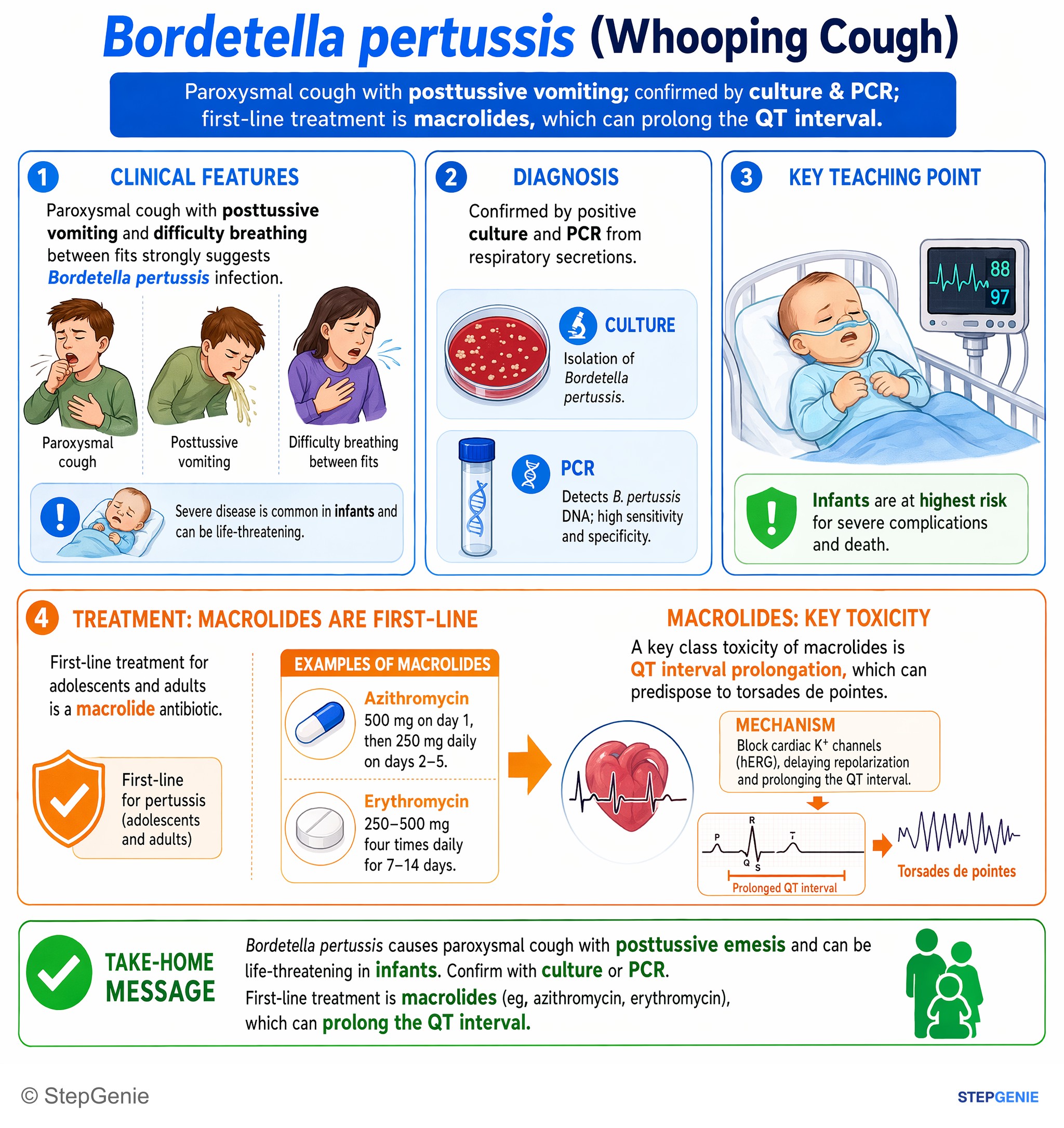 Antimicrobial drugs — StepGenie USMLE Step 1 explanation infographic
