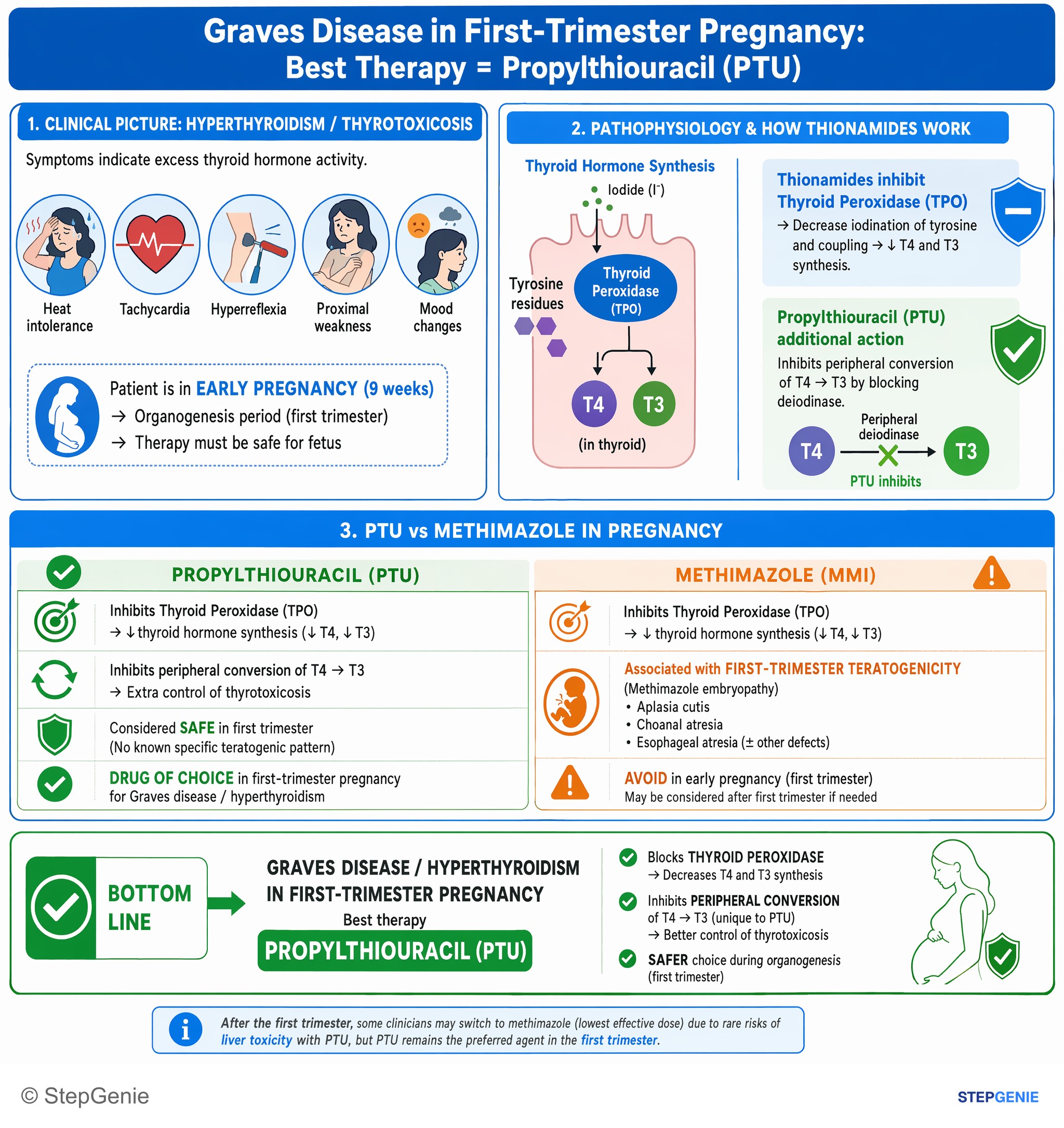 Thyroid disorders — StepGenie USMLE Step 2 explanation infographic