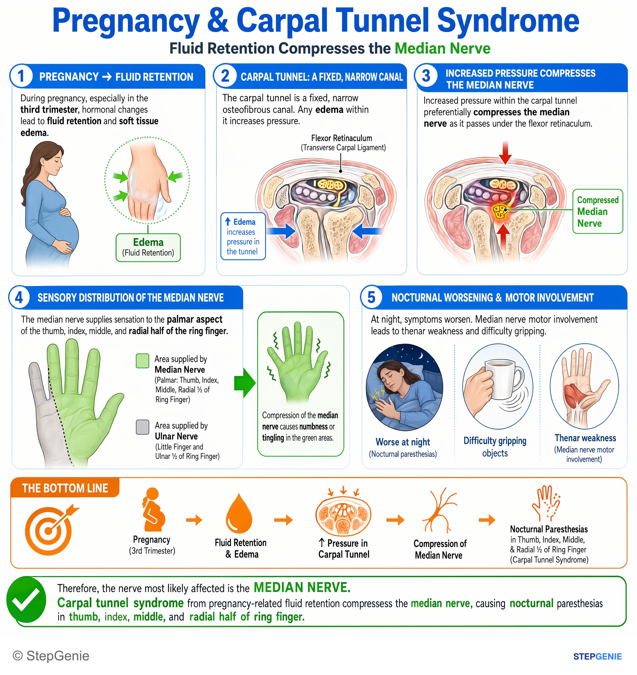 Nerve injuries — StepGenie USMLE Step 1 explanation infographic
