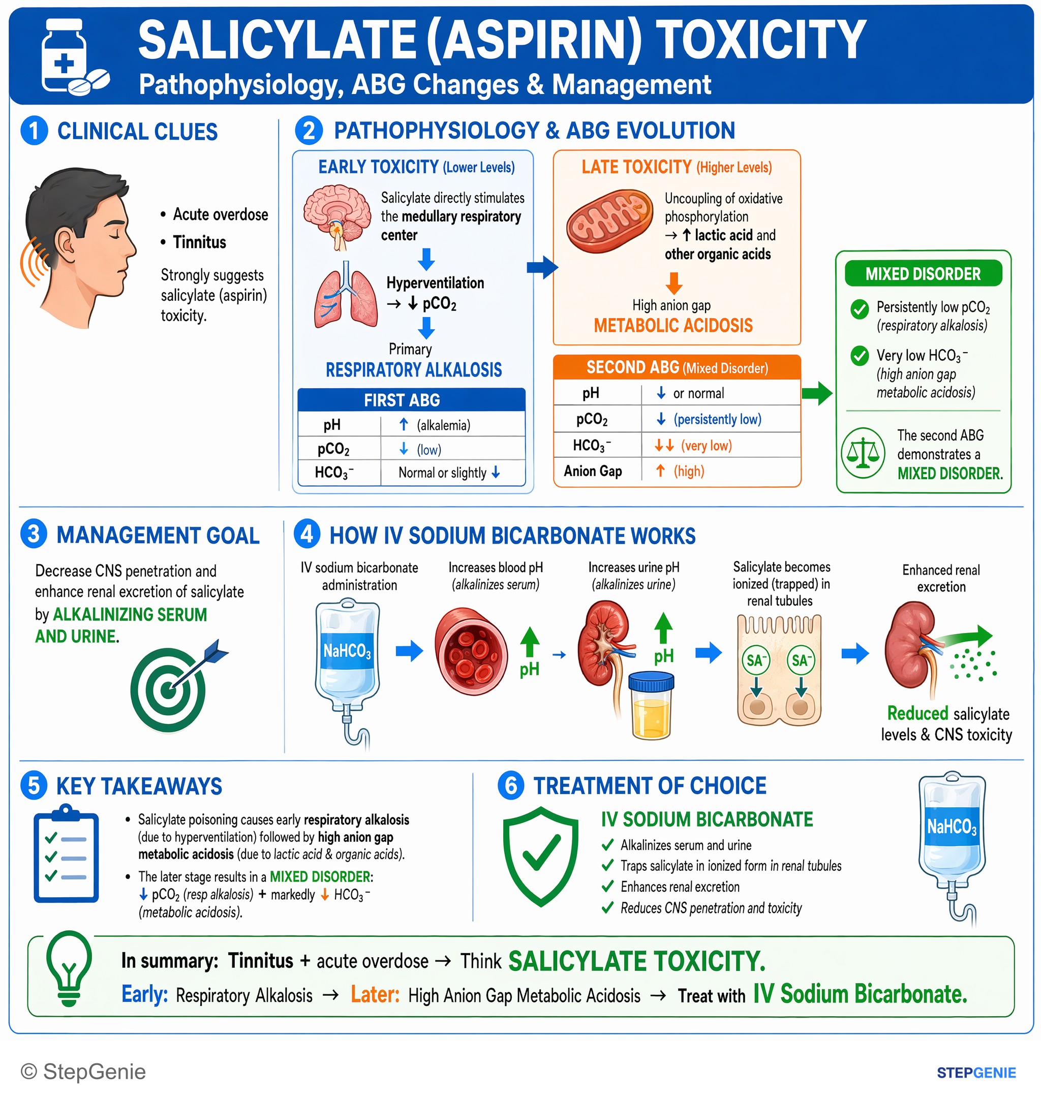 Fluid, electrolytes, and acid-base — StepGenie USMLE Step 2 explanation infographic