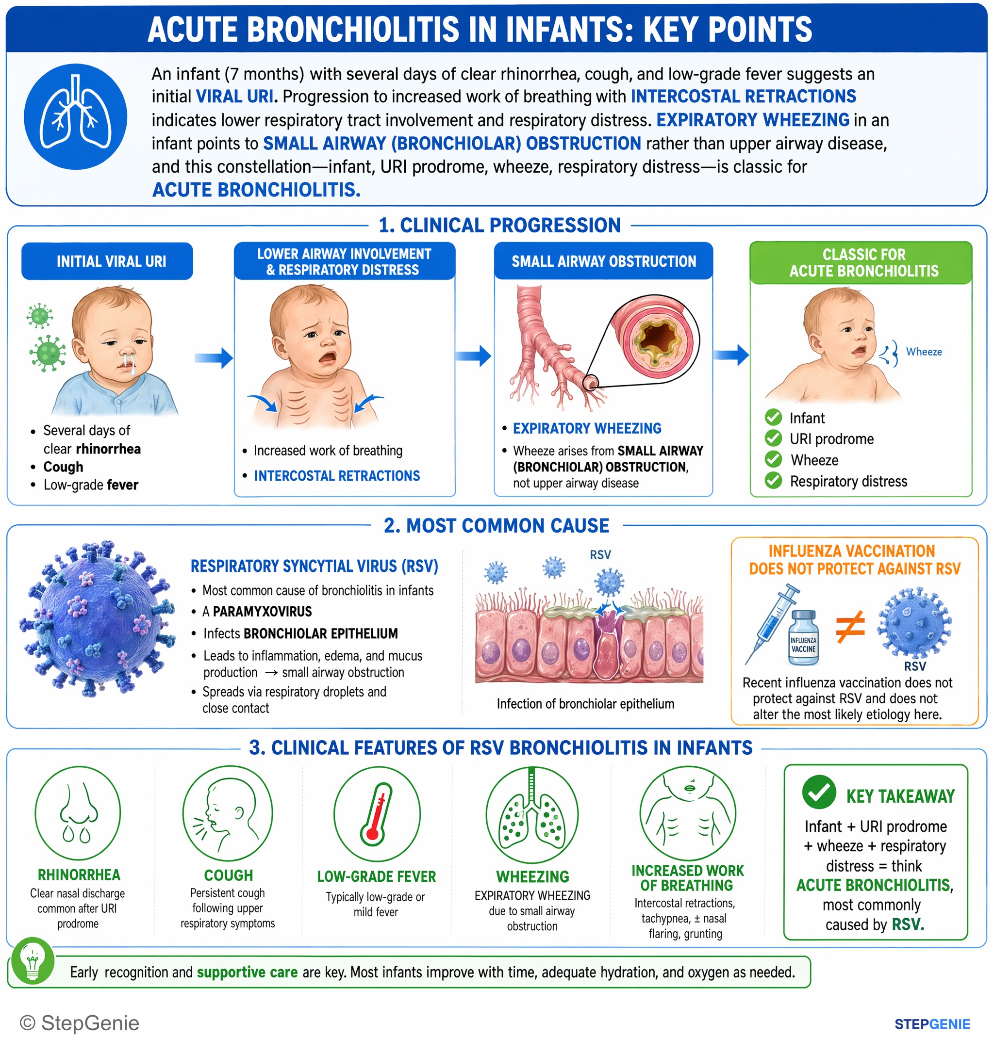 Pulmonary infections — StepGenie USMLE Step 1 explanation infographic