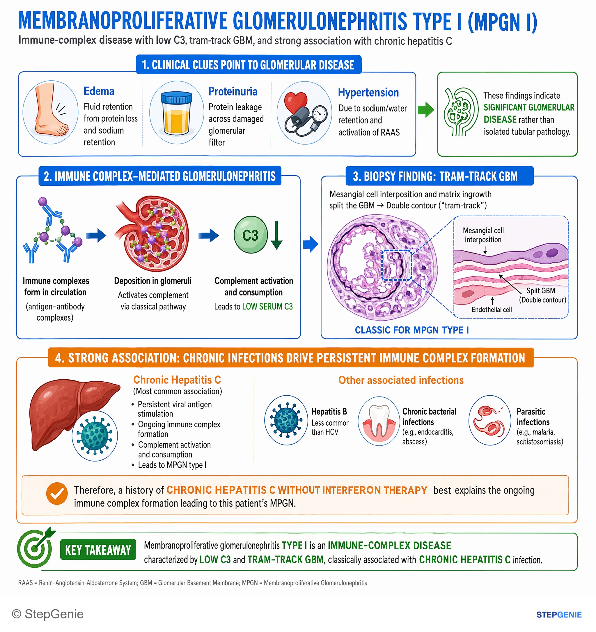 Glomerular diseases — StepGenie USMLE Step 1 explanation infographic