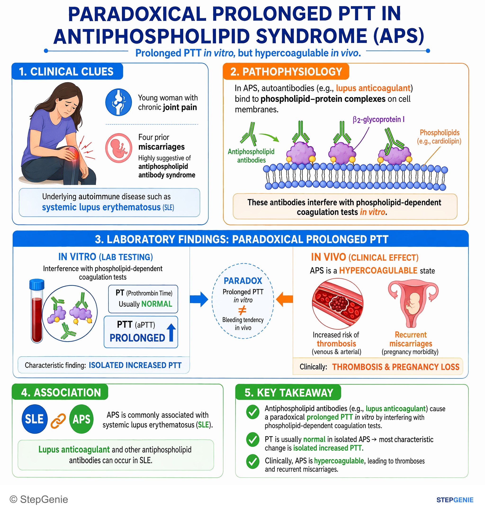 Hemostasis and thrombosis — StepGenie USMLE Step 1 explanation infographic