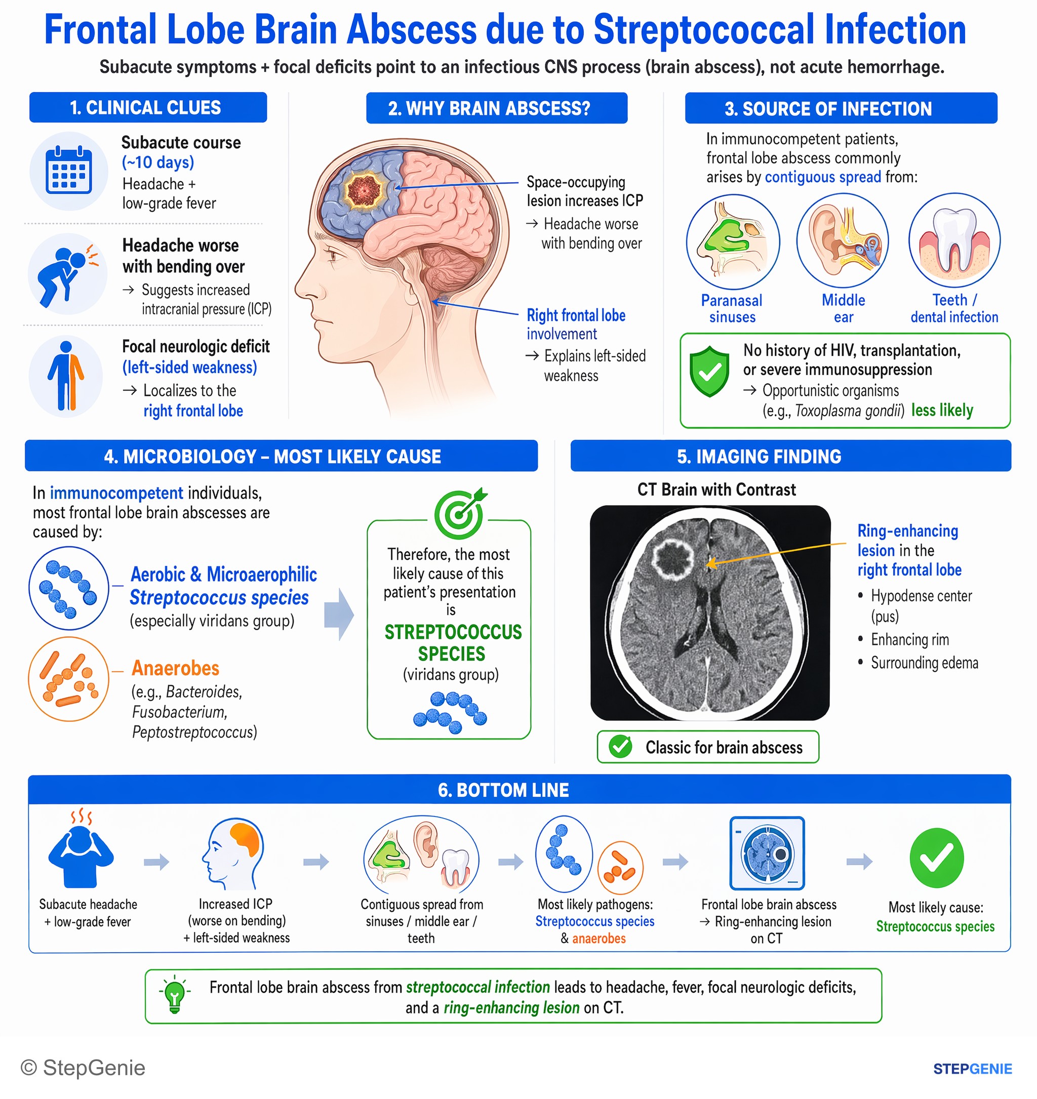Cerebrovascular disease — StepGenie USMLE Step 2 explanation infographic
