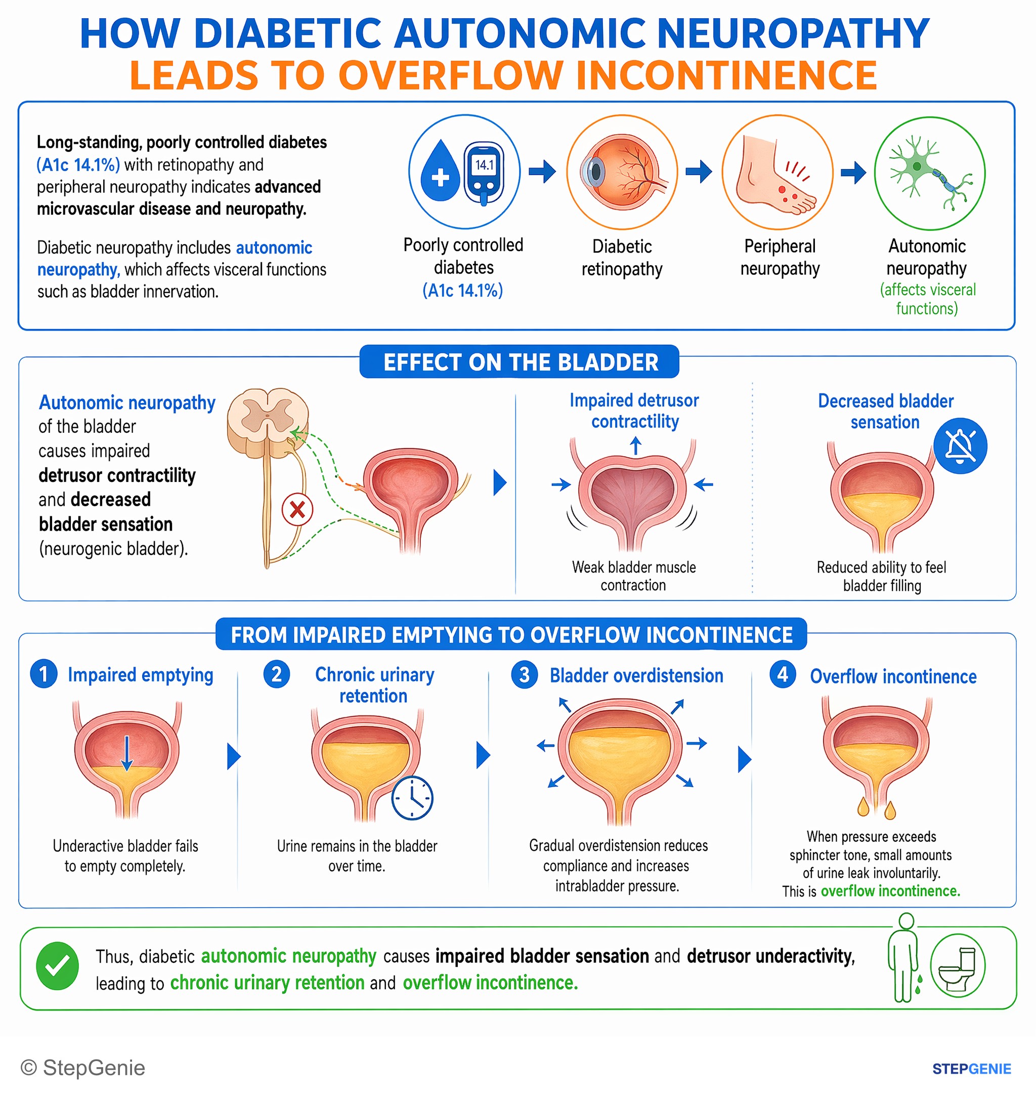 Diabetes mellitus — StepGenie USMLE Step 2 explanation infographic