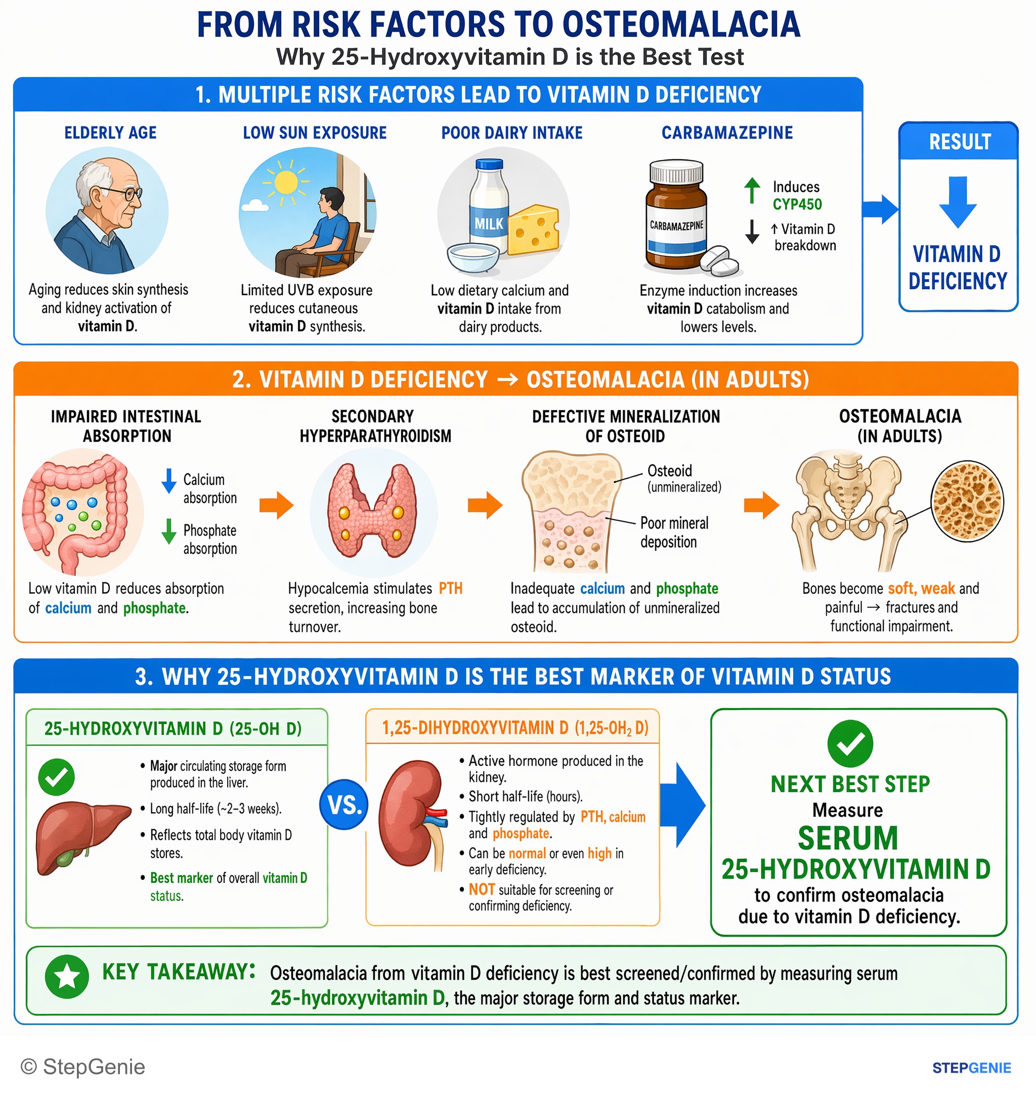 Miscellaneous — StepGenie USMLE Step 2 explanation infographic