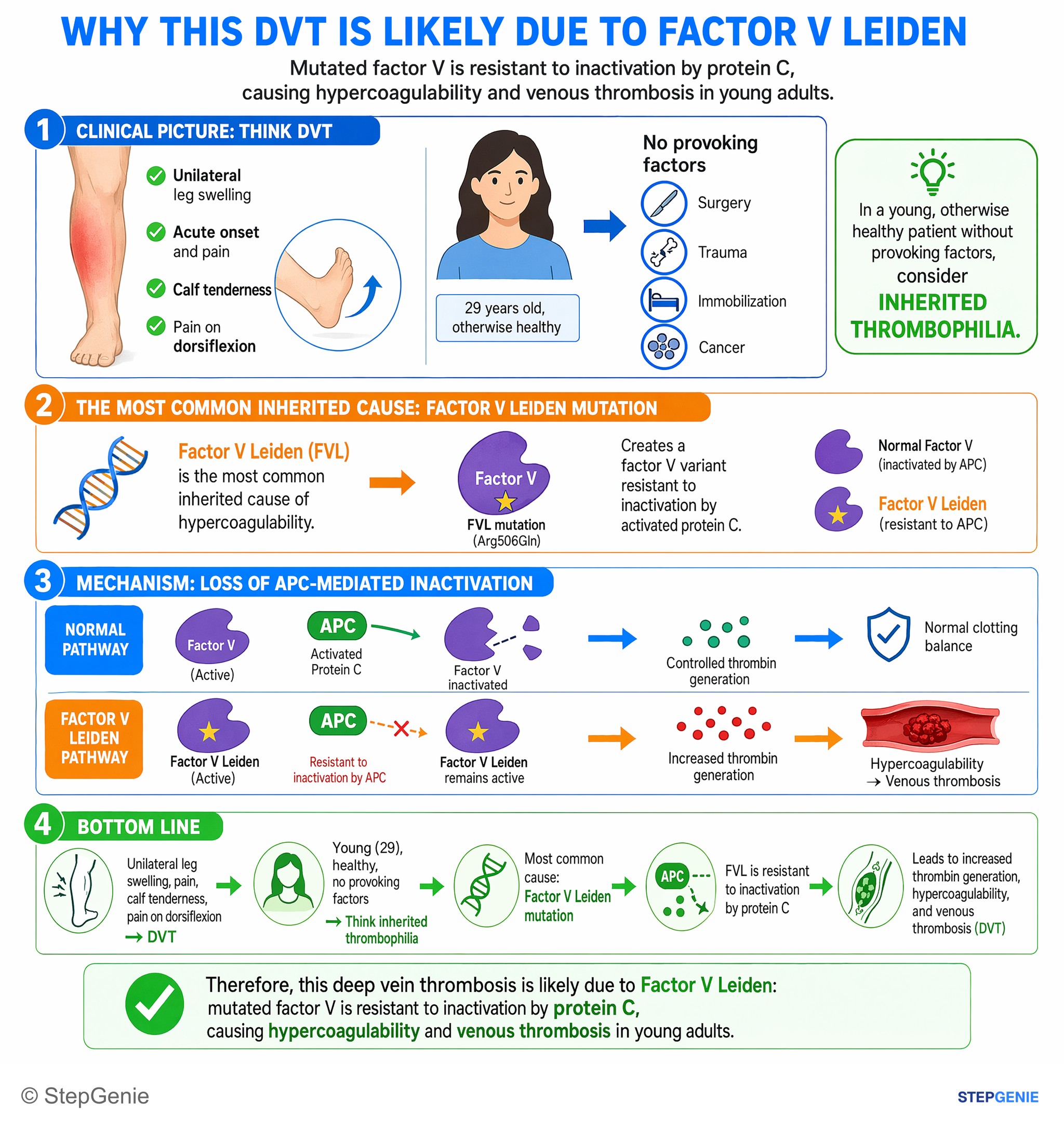 Aortic and peripheral artery diseases — StepGenie USMLE Step 2 explanation infographic